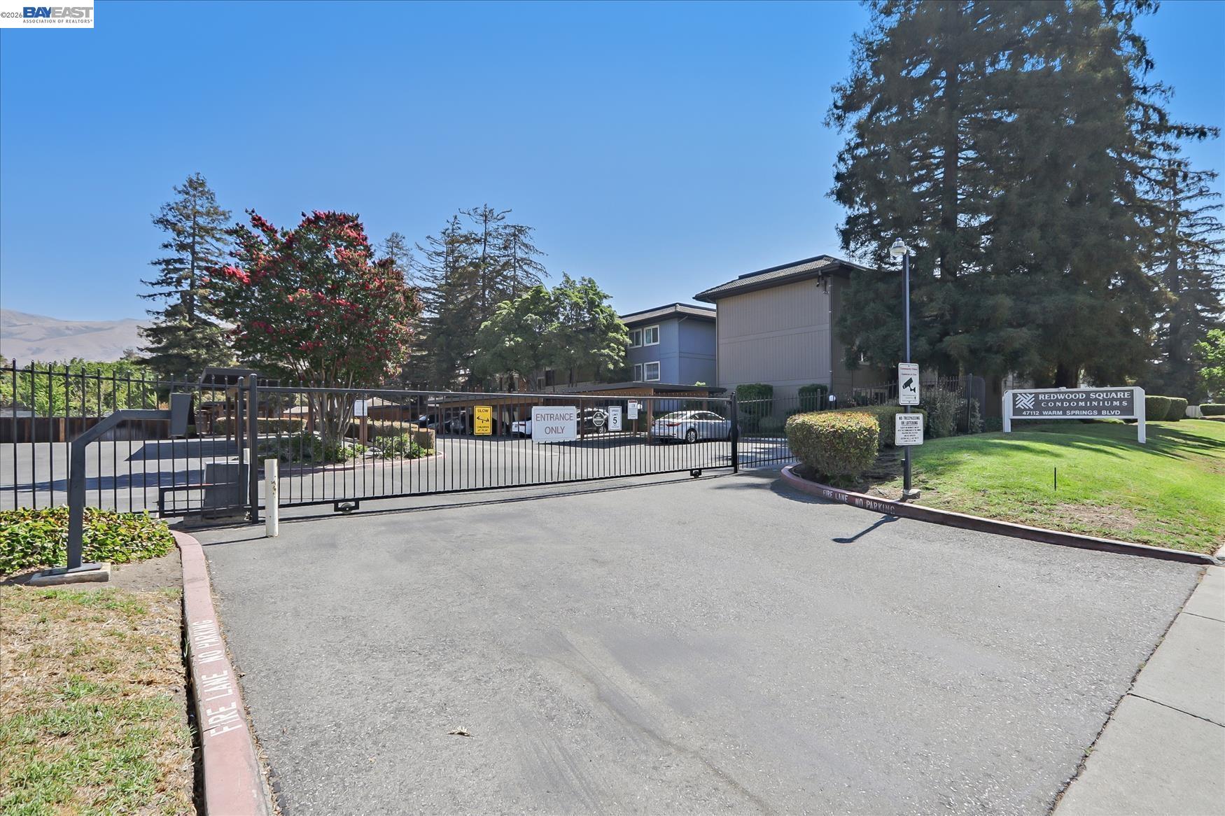 Photo #8: 41138445 Listing: Photo #8