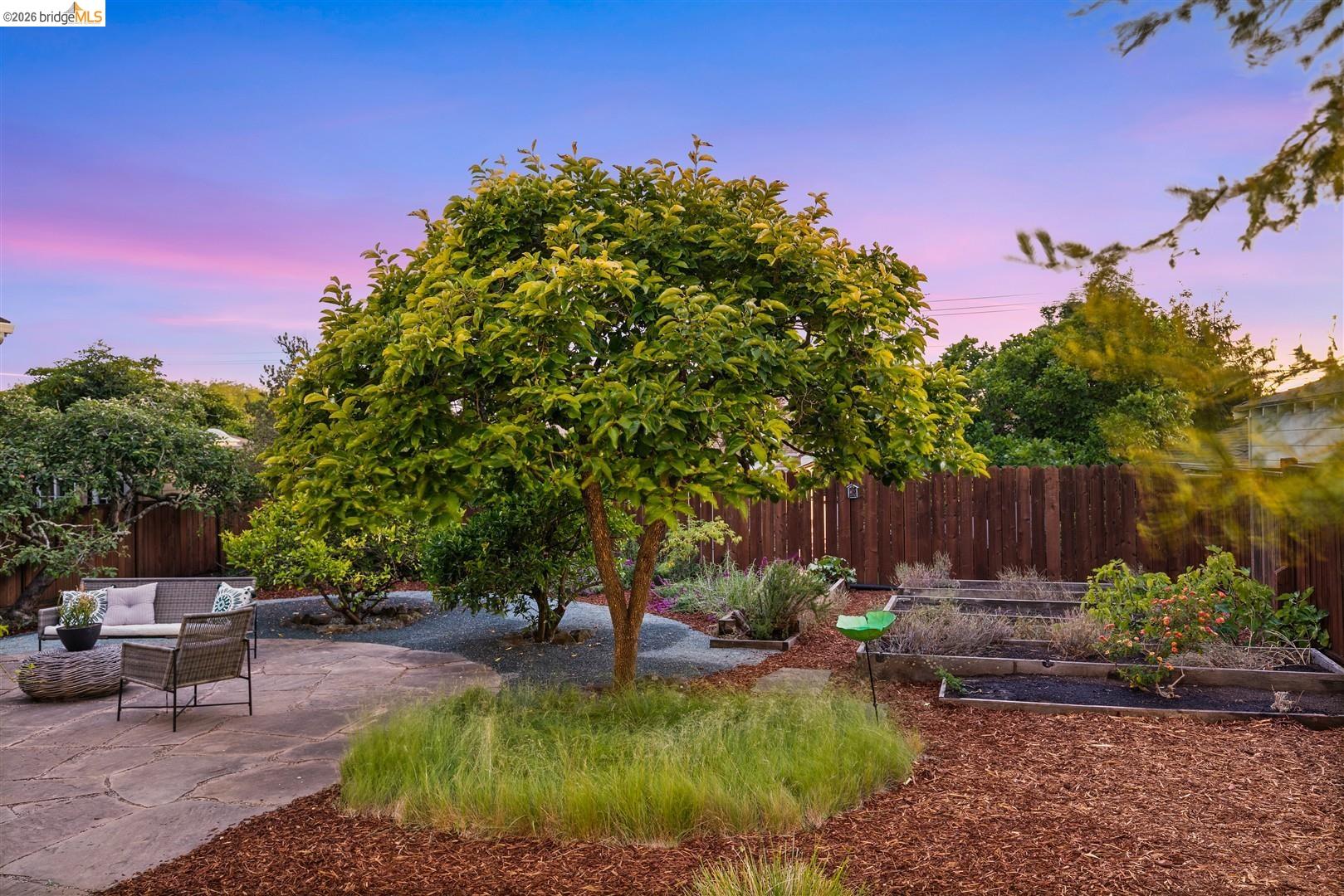 211 San Carlos Ave, El Cerrito CA 94530 — photo 35