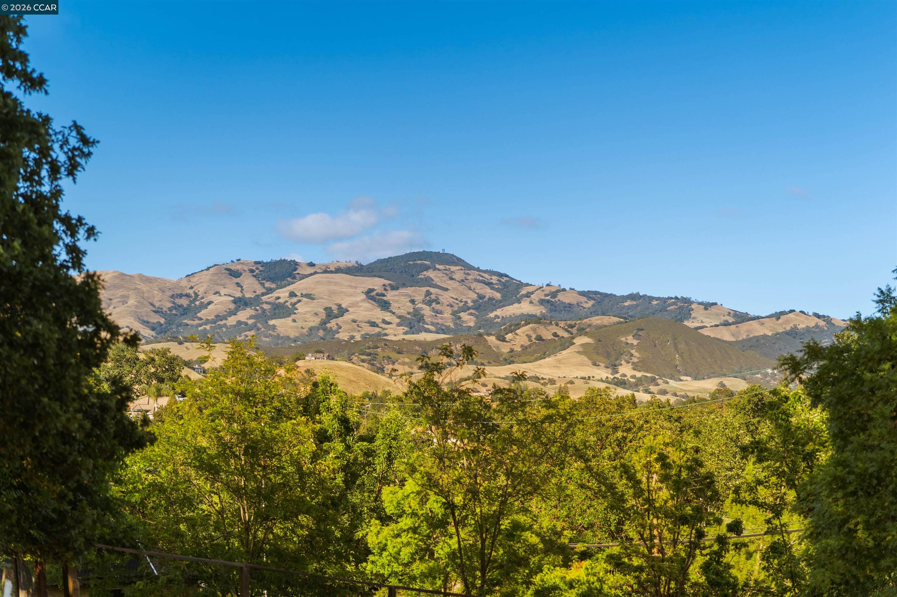 300 Marks Rd, Alamo CA 94507 — photo 15