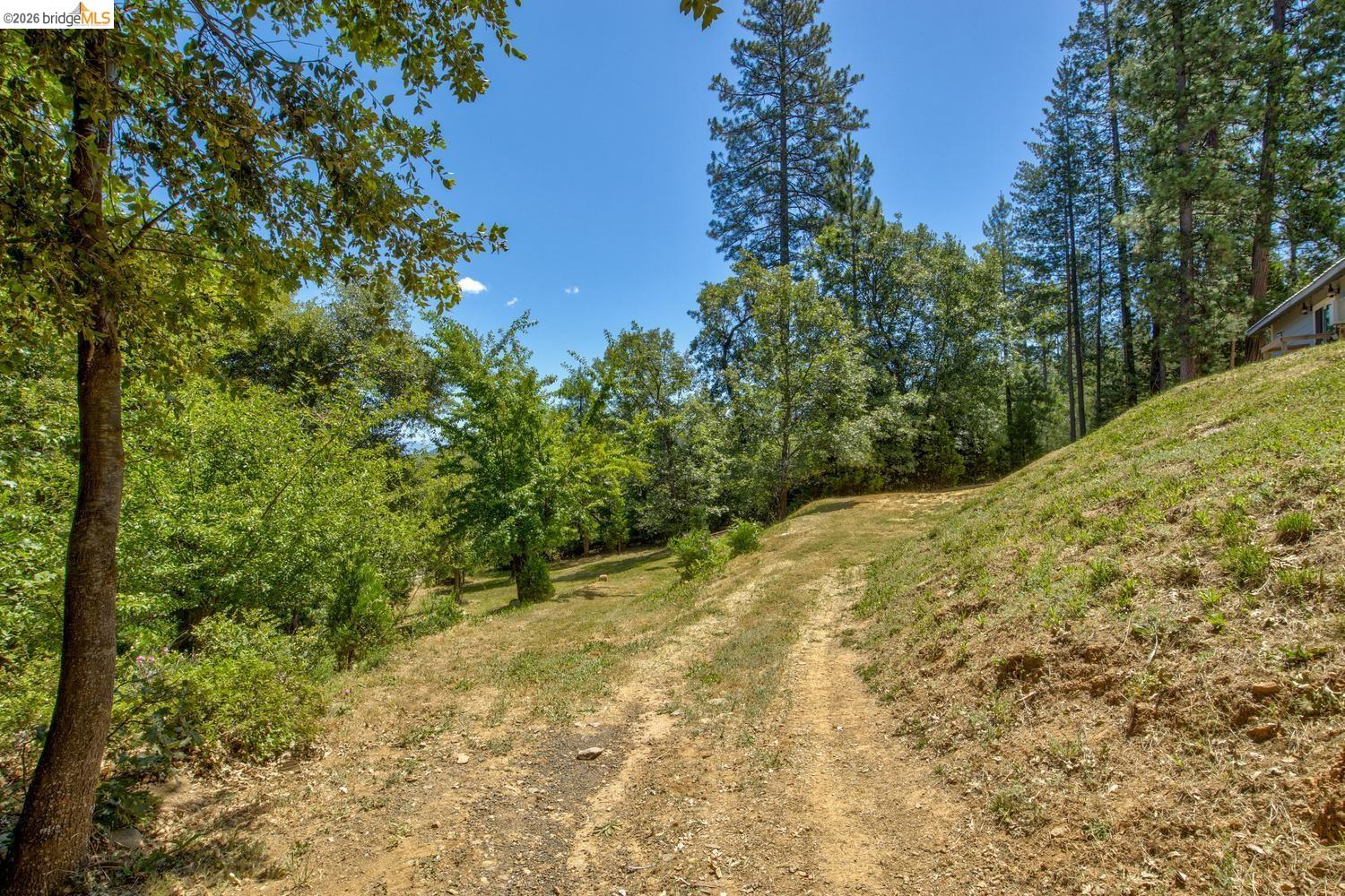 22361 Hells Hollow Rd. S., Groveland CA 95321 — photo 40