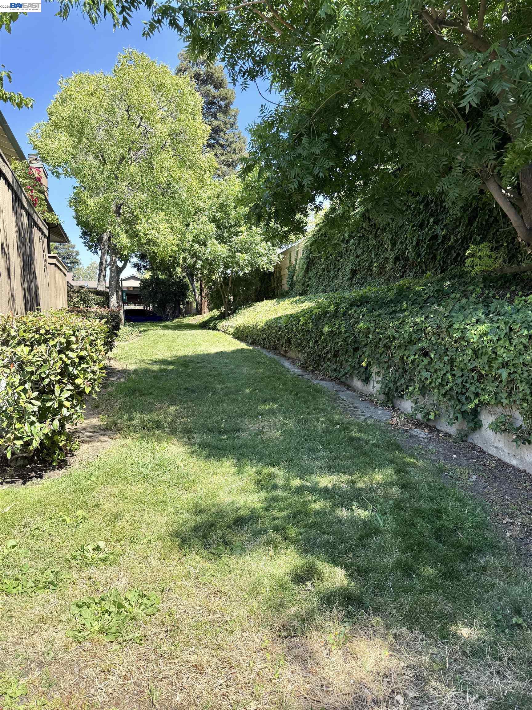 Photo #37: 41138662 Listing: Photo #37