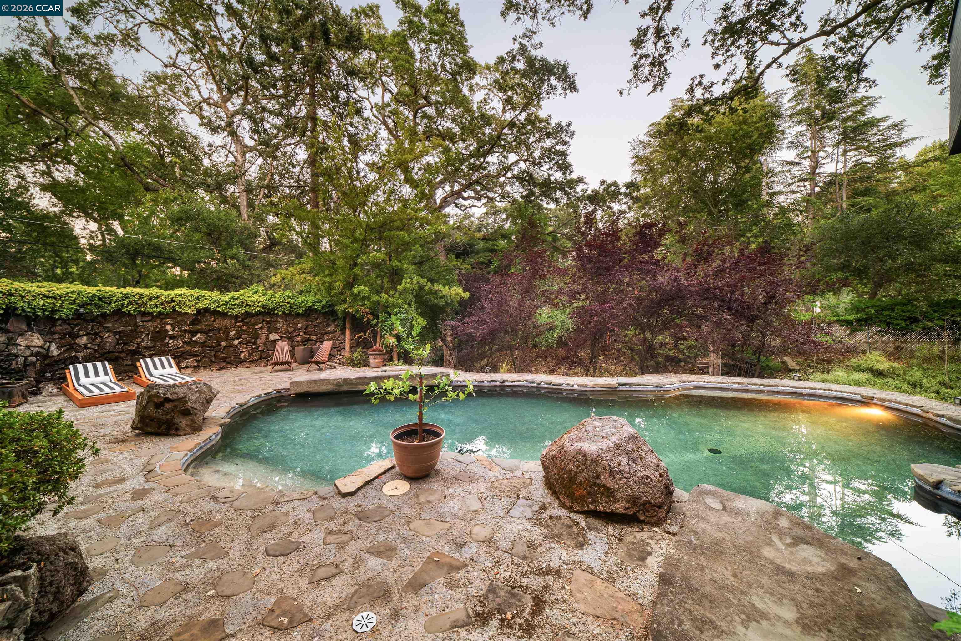 841 Kirkcrest Rd, Alamo CA 94507 — photo 48
