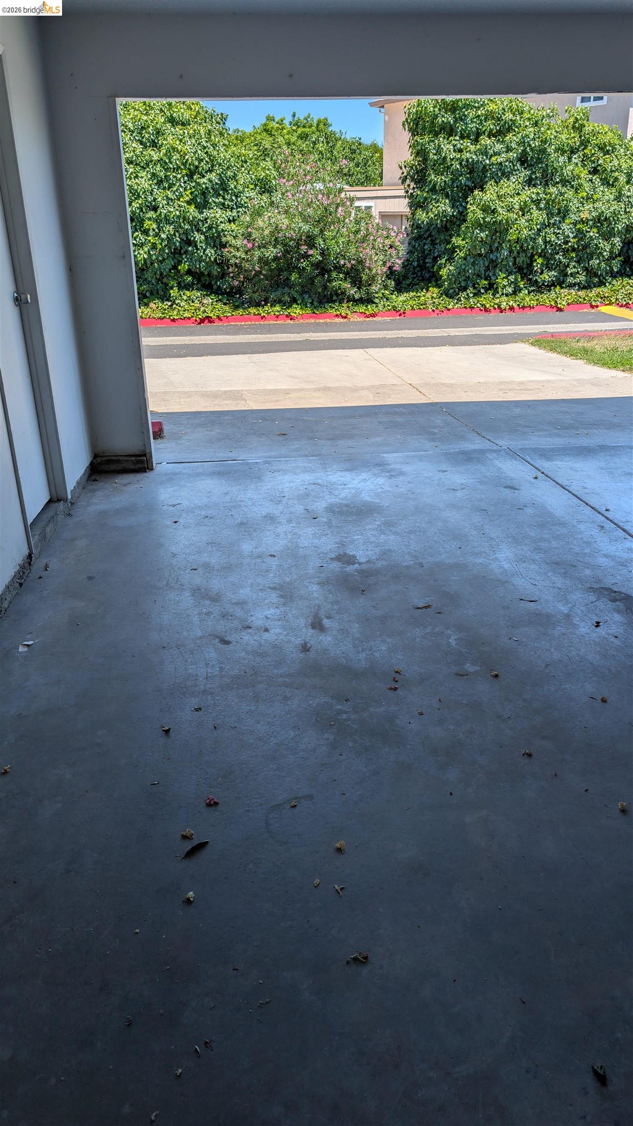 Photo #19: 41138742 Listing: Photo #19