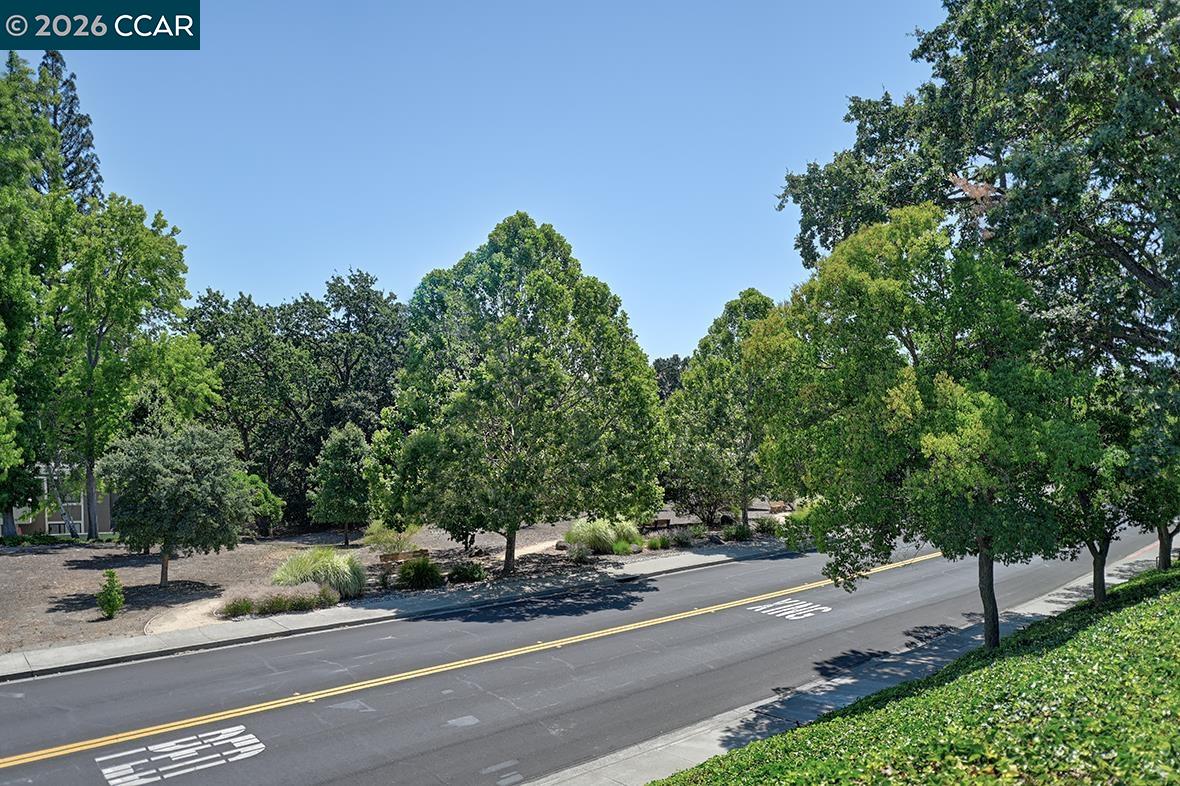 Photo #31: 41138756 Listing: Photo #31
