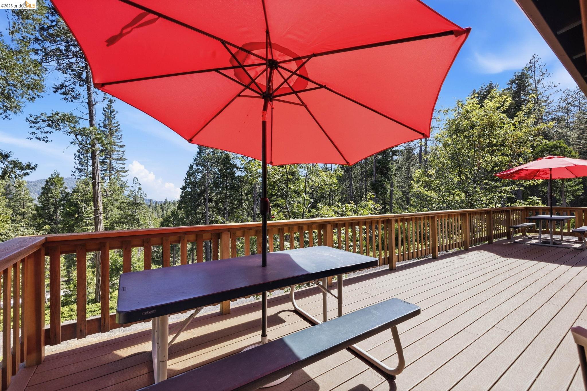 24882 Bottini Apple Ranch Rd, Mi Wuk Village CA 95346 — photo 43