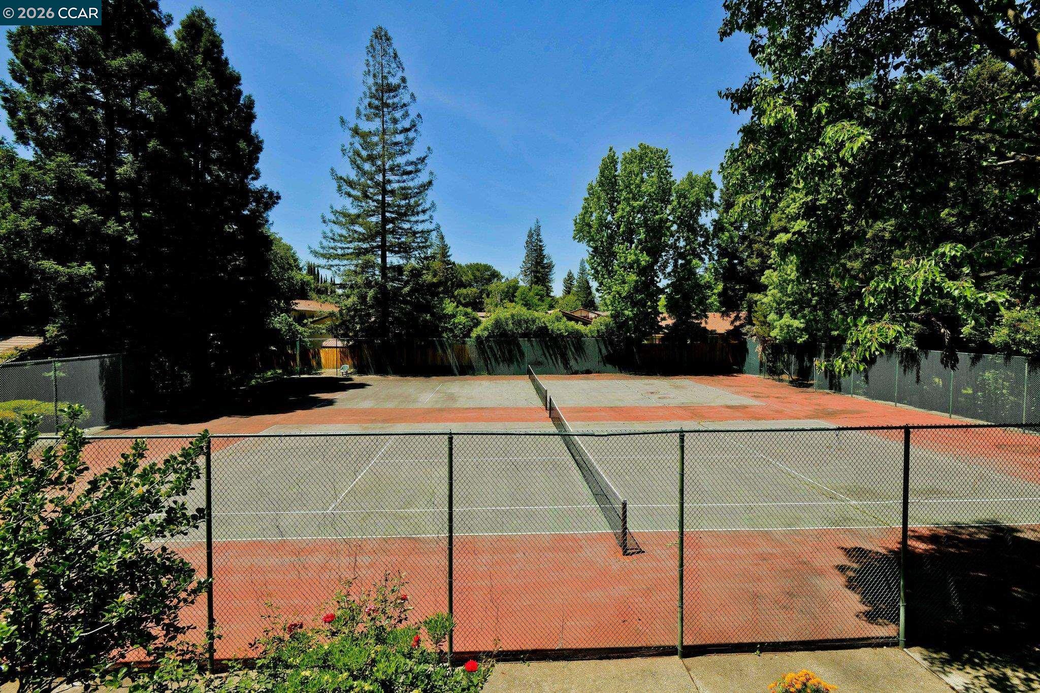 Photo #20: 41138821 Listing: Photo #20