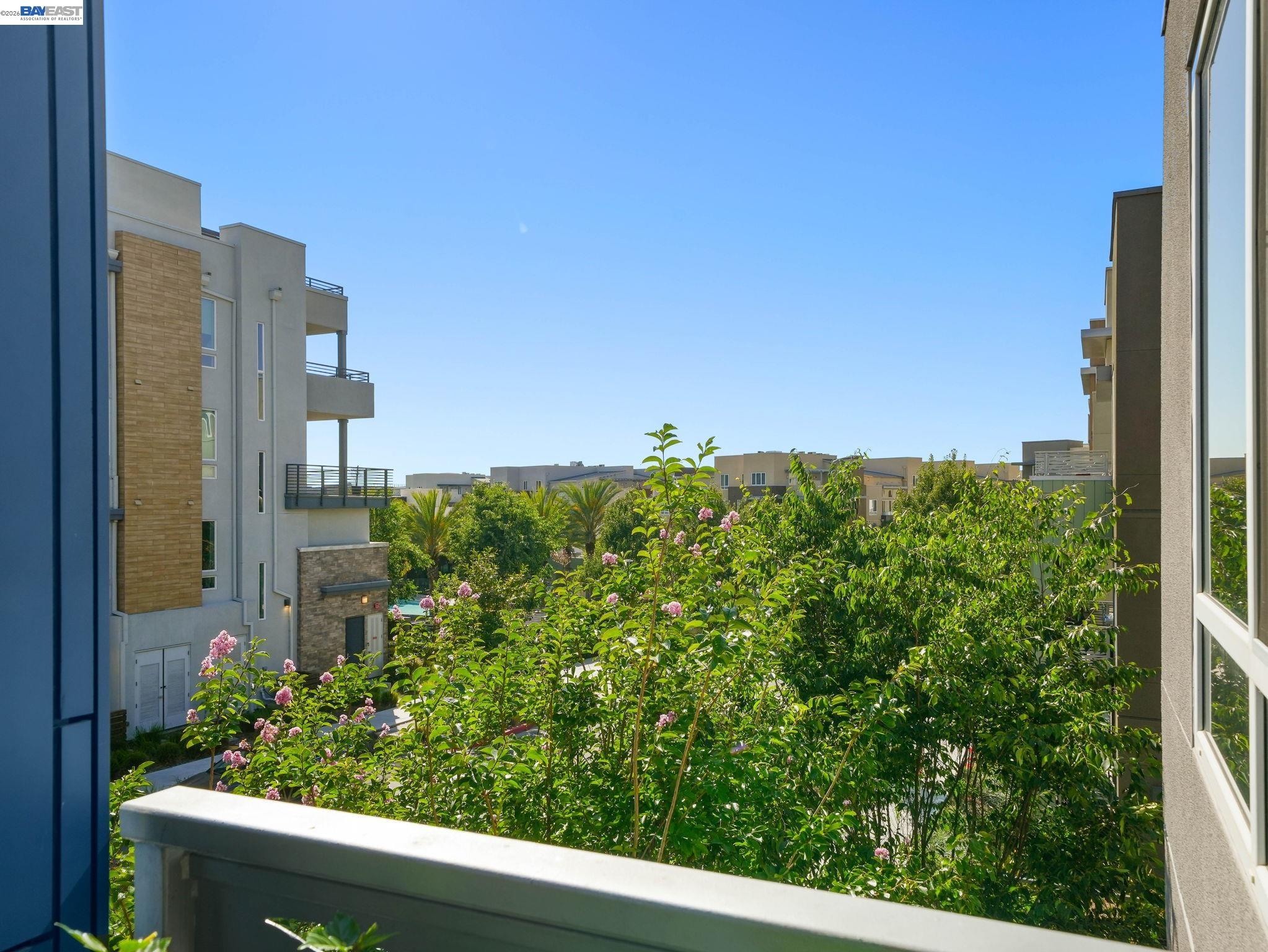 Photo #8: 41138839 Listing: Photo #8