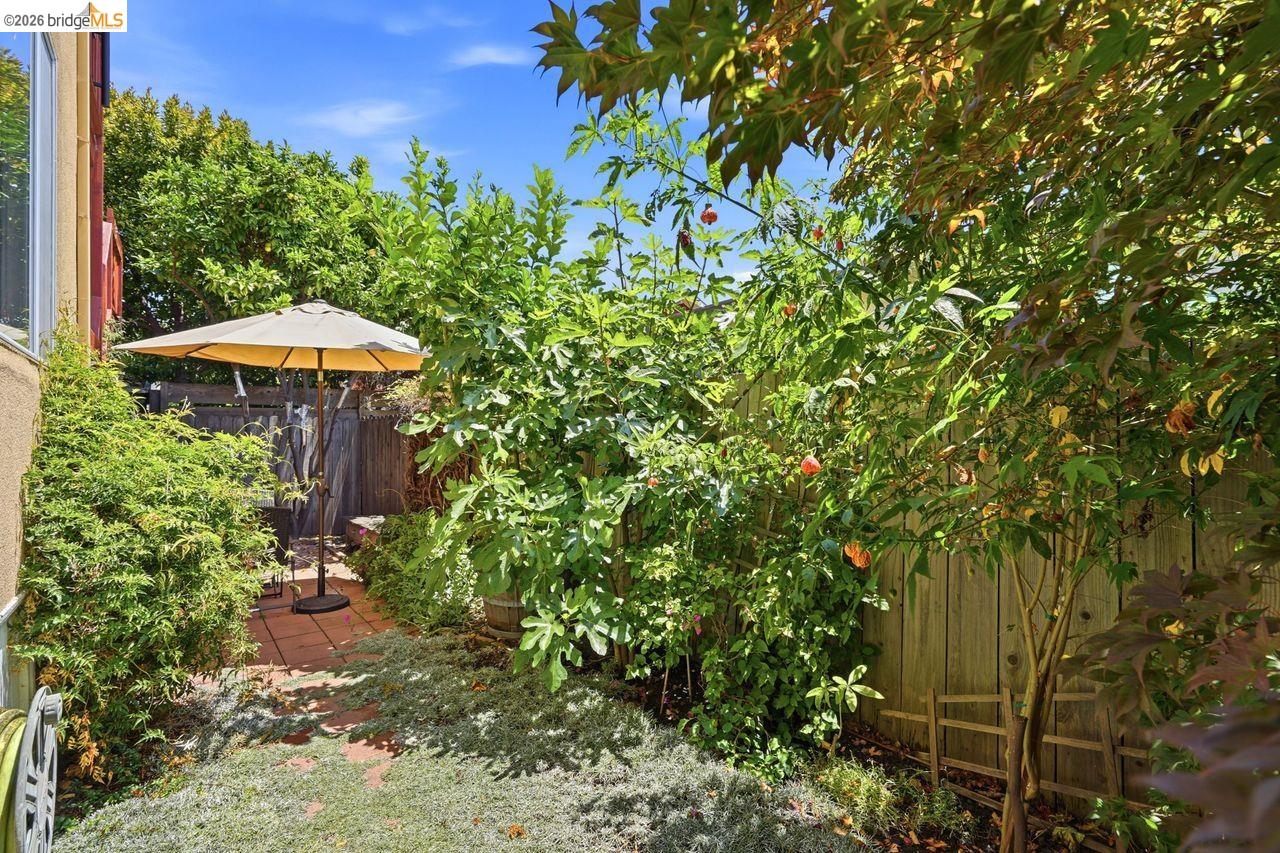 Photo #31: 41138848 Listing: Photo #31
