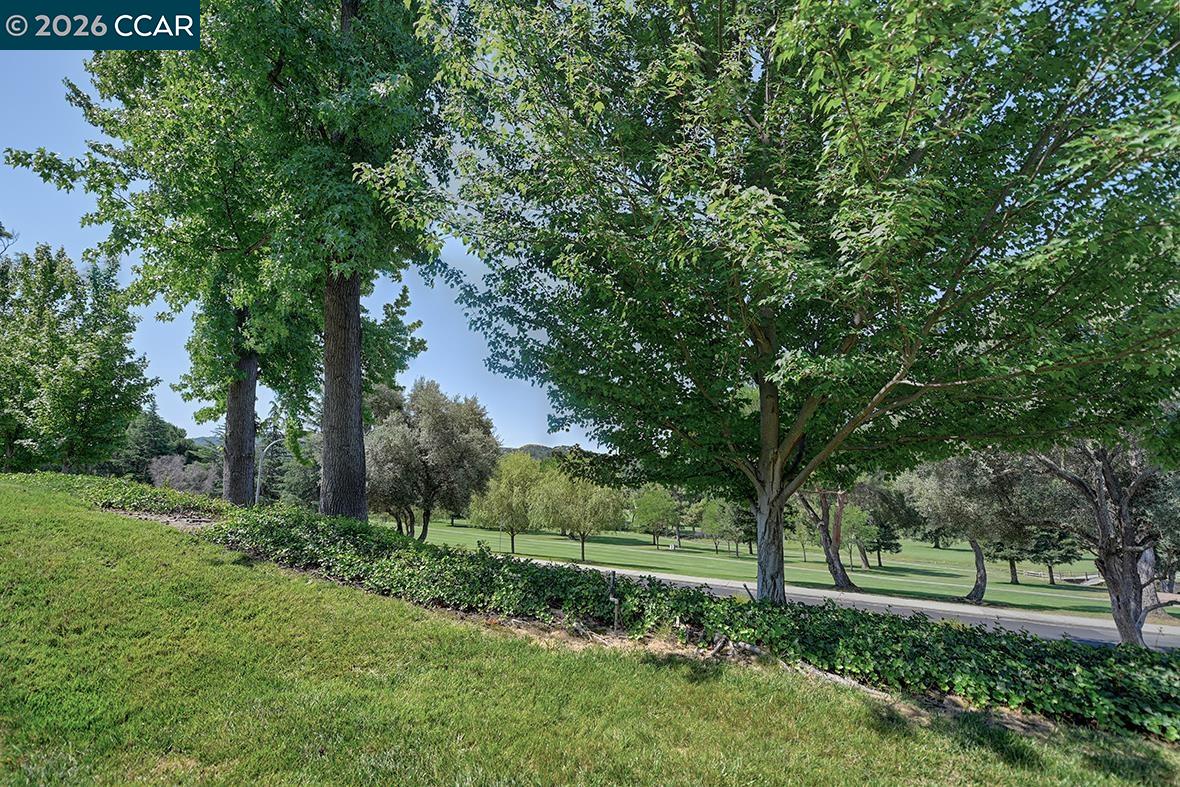 Photo #16: 41138951 Listing: Photo #16