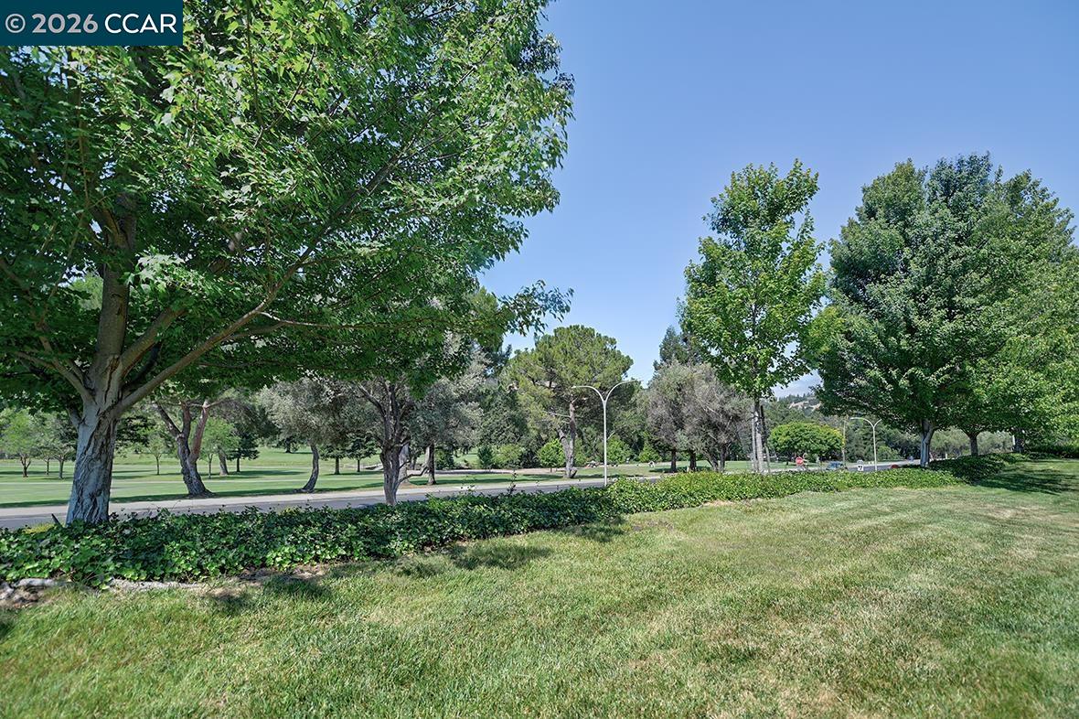 Photo #17: 41138951 Listing: Photo #17
