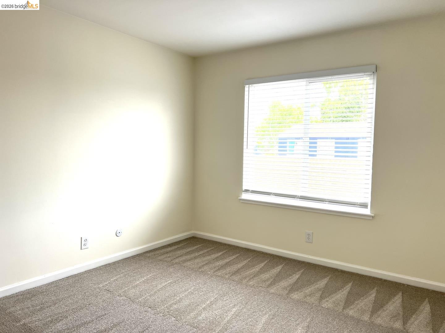Photo #19: 41138978 Listing: Photo #19