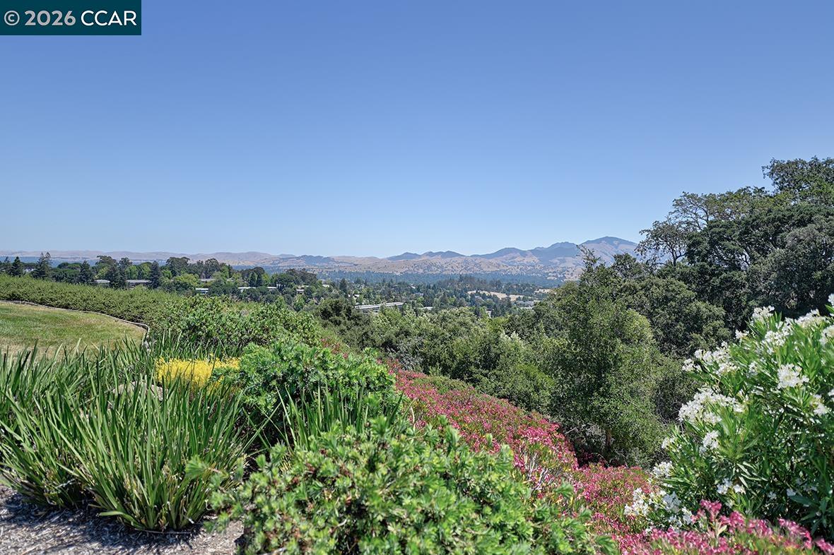 Photo #16: 41138990 Listing: Photo #16