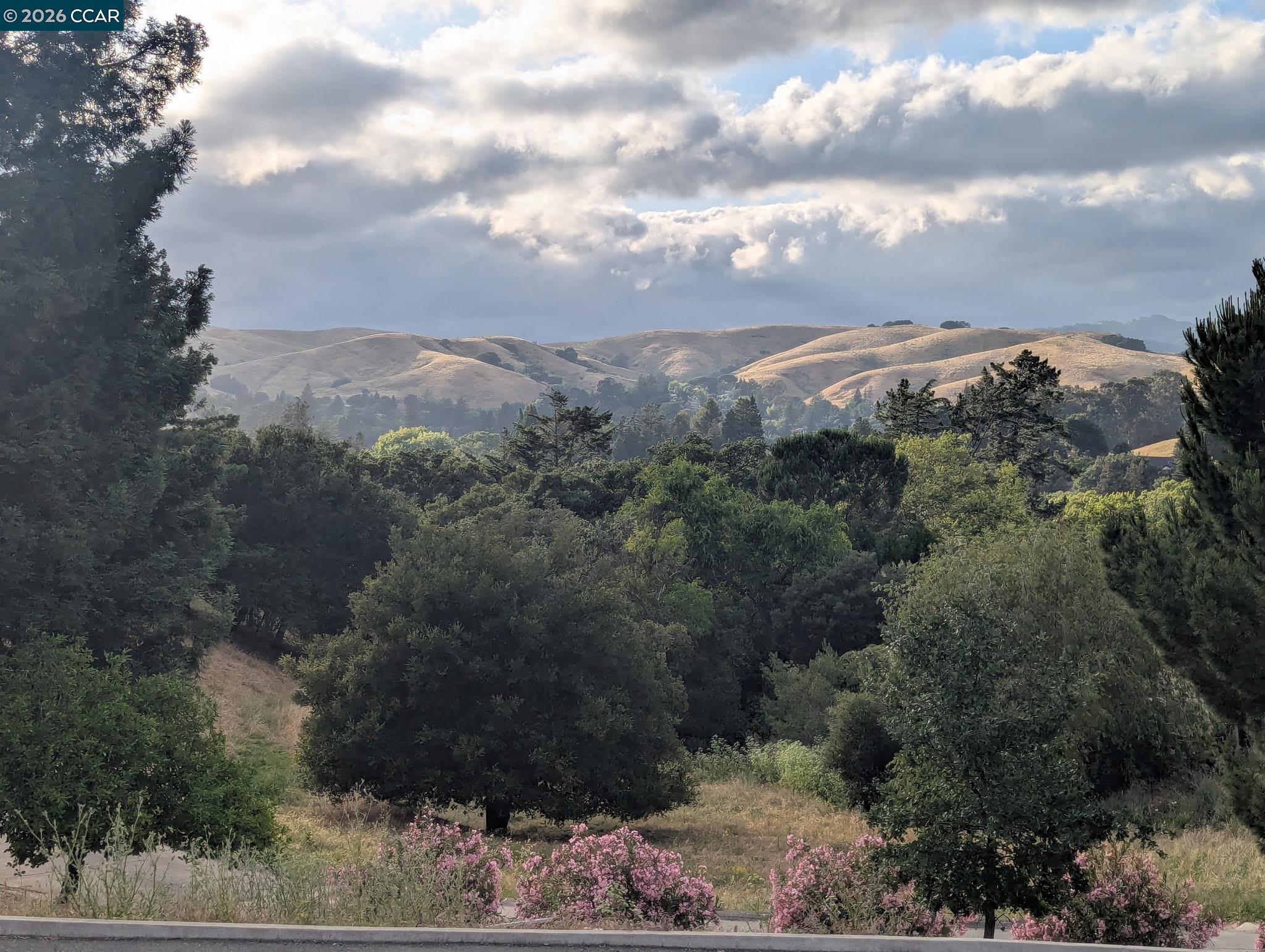 370 Castello, Lafayette CA 94549 — photo 27