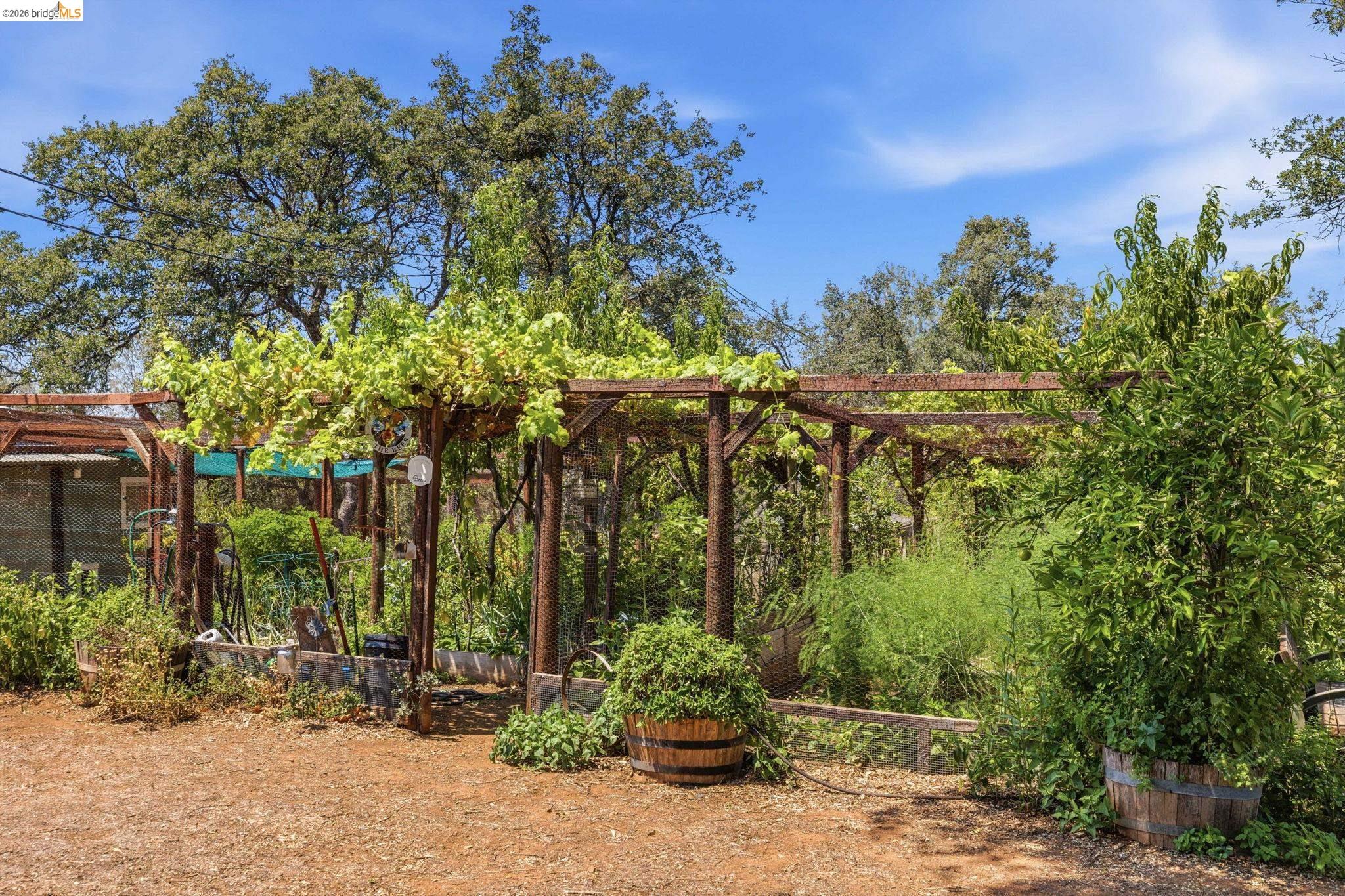 10465 Violetta Way, Coulterville CA 95311 — photo 35