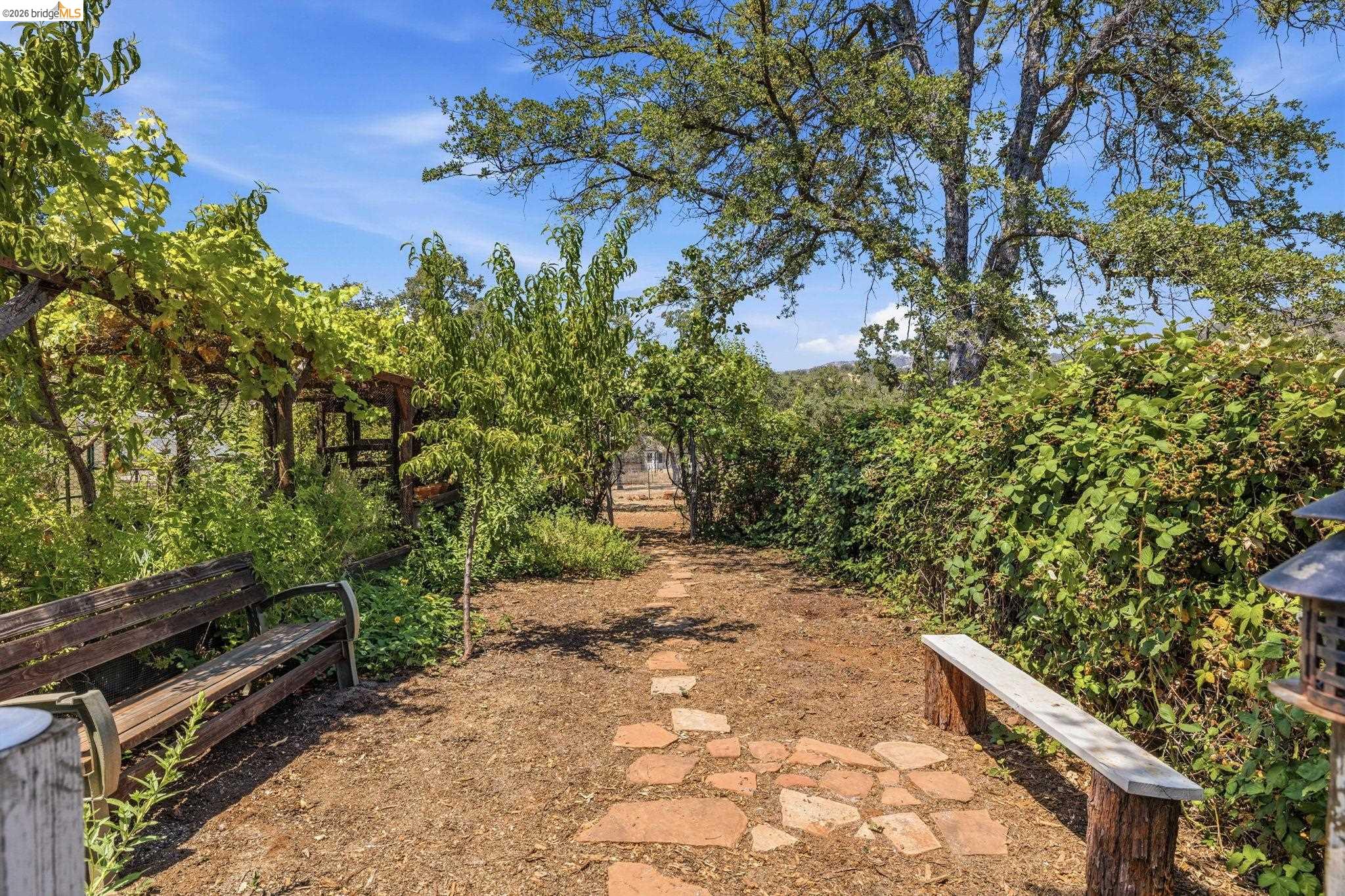 10465 Violetta Way, Coulterville CA 95311 — photo 39