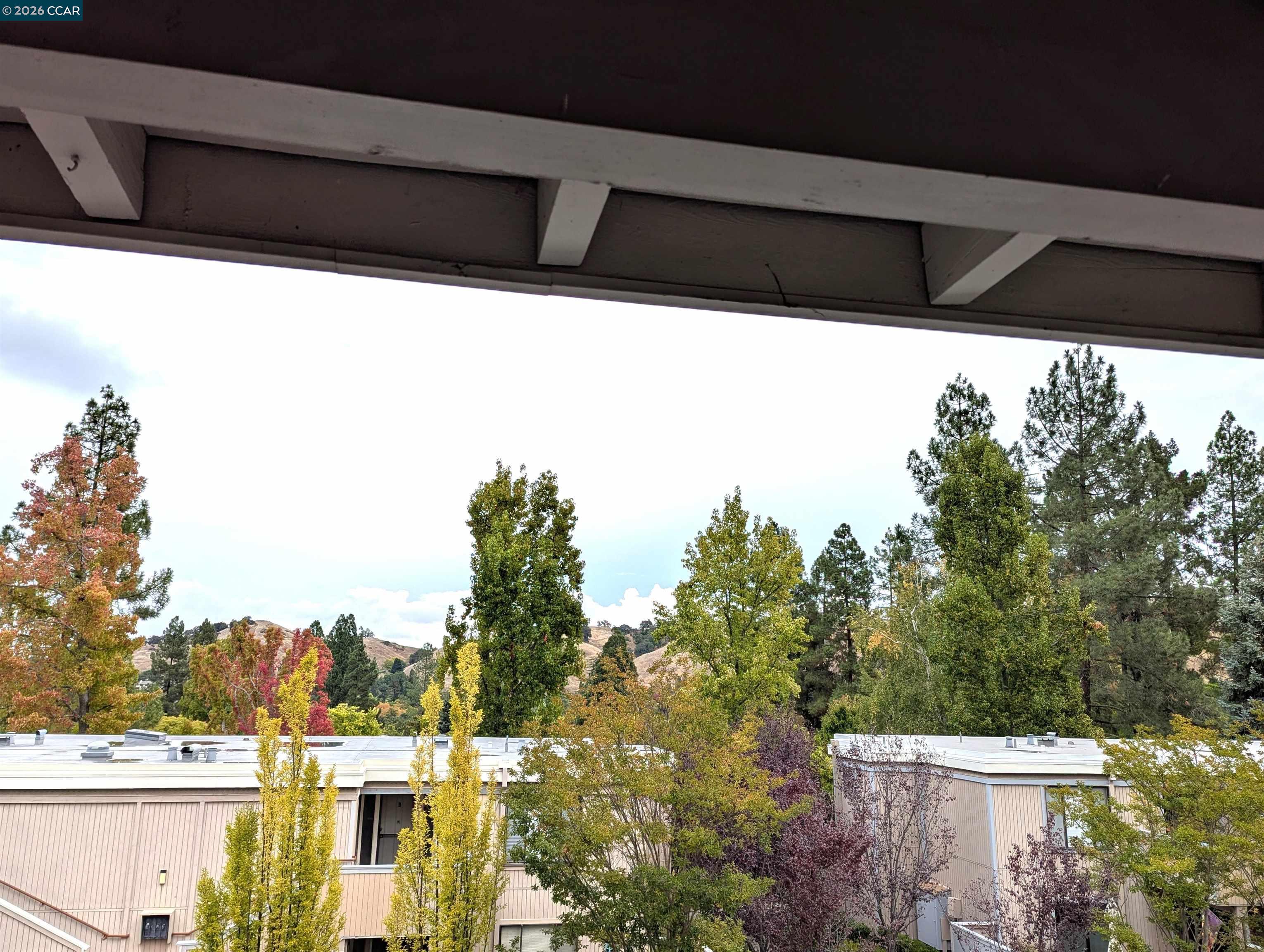 1361 Singingwood Ct # 7, Walnut Creek CA 94595 — photo 45