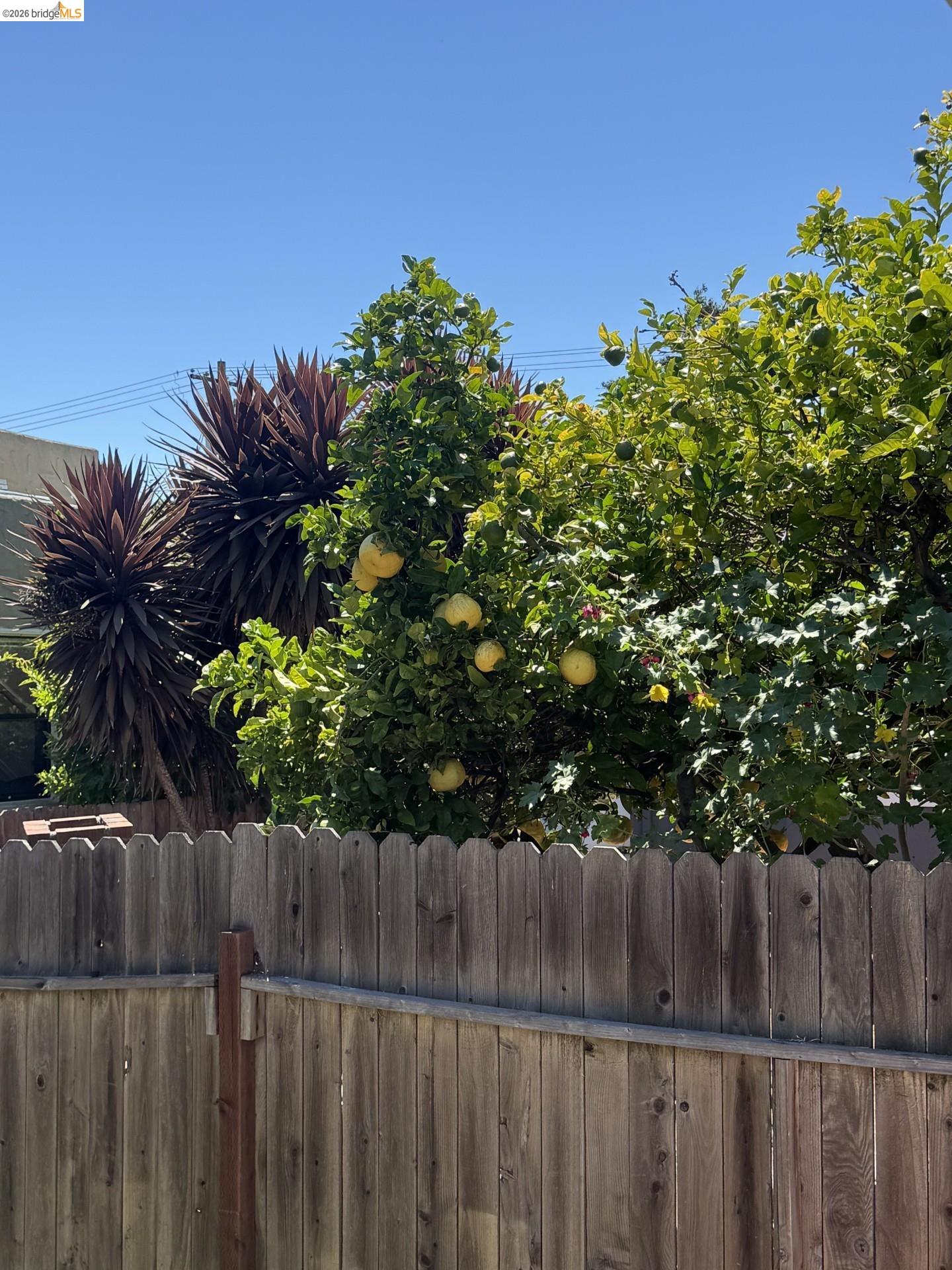 3212 Esmond Ave, Richmond CA 94804 — photo 24