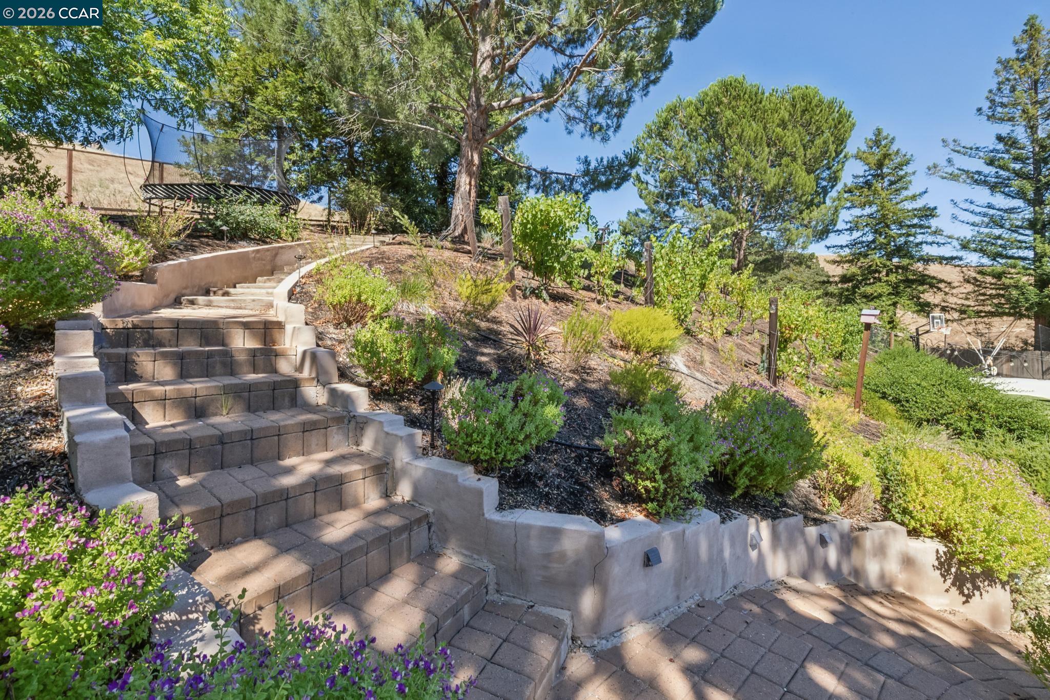 226 Arthur Ct, Danville CA 94526 — photo 75