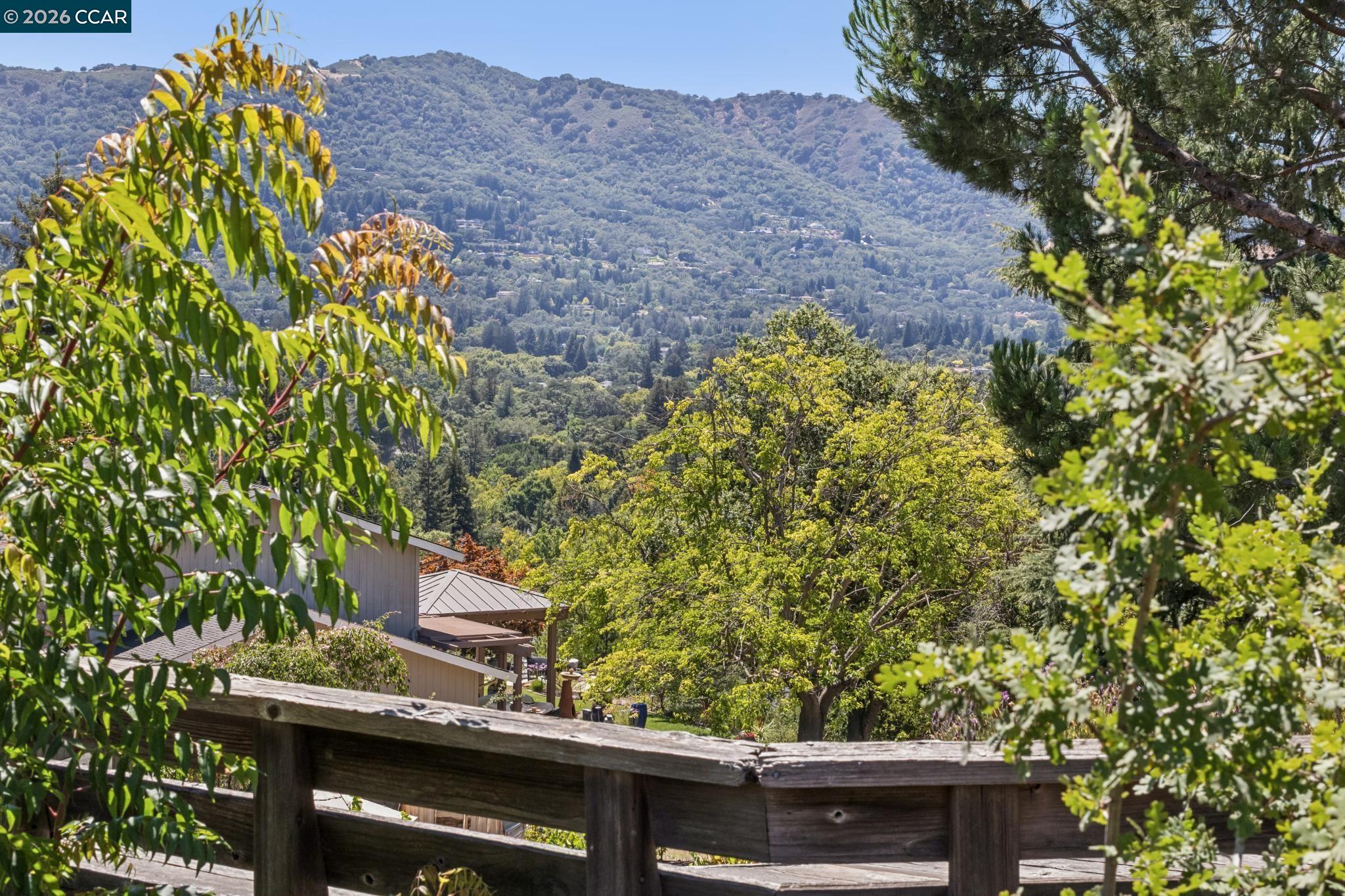 226 Arthur Ct, Danville CA 94526 — photo 78