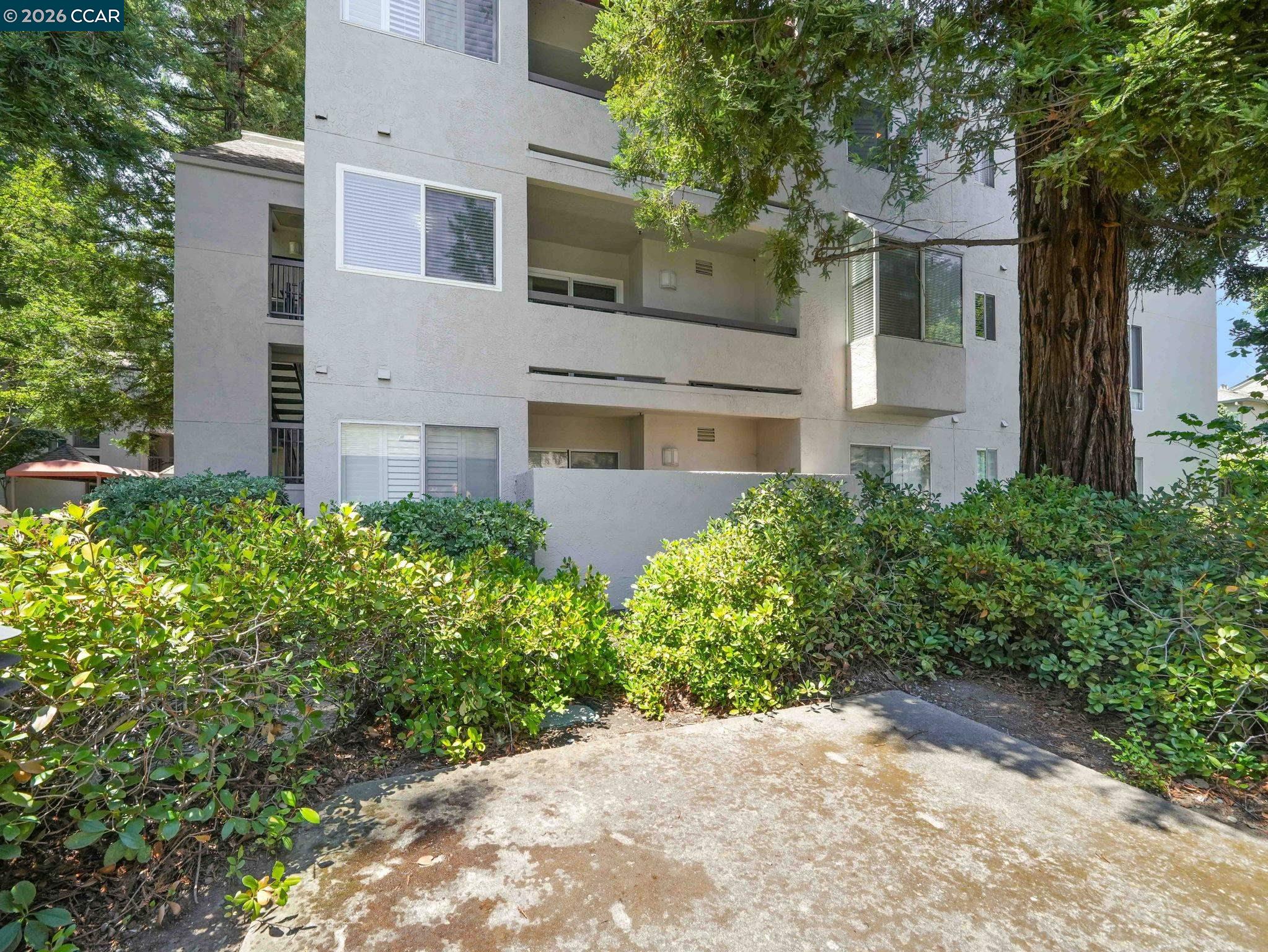 Photo #23: 41139164 Listing: Photo #23
