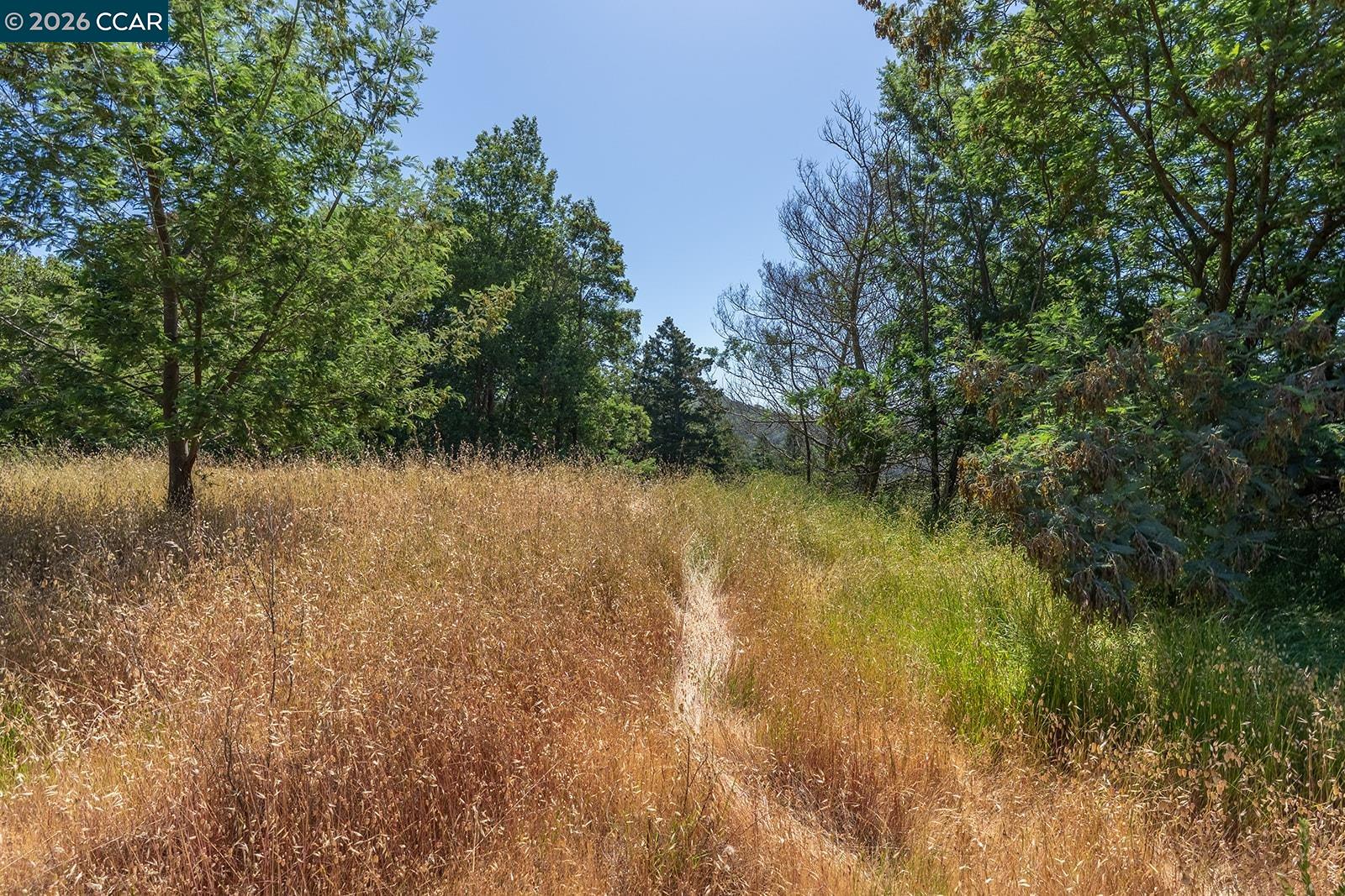 0 Crown, Kentfield CA 94904 — photo 6