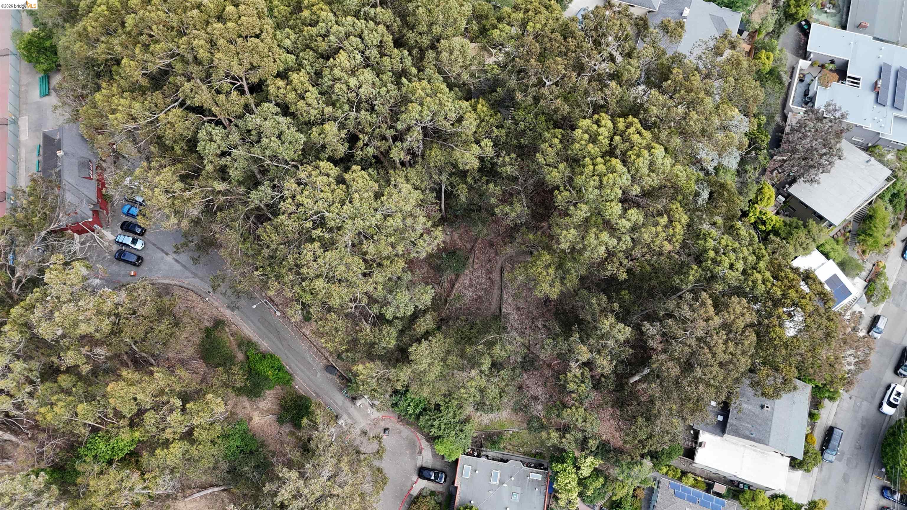 195 Oak Rd, Piedmont CA 94610 — photo 7