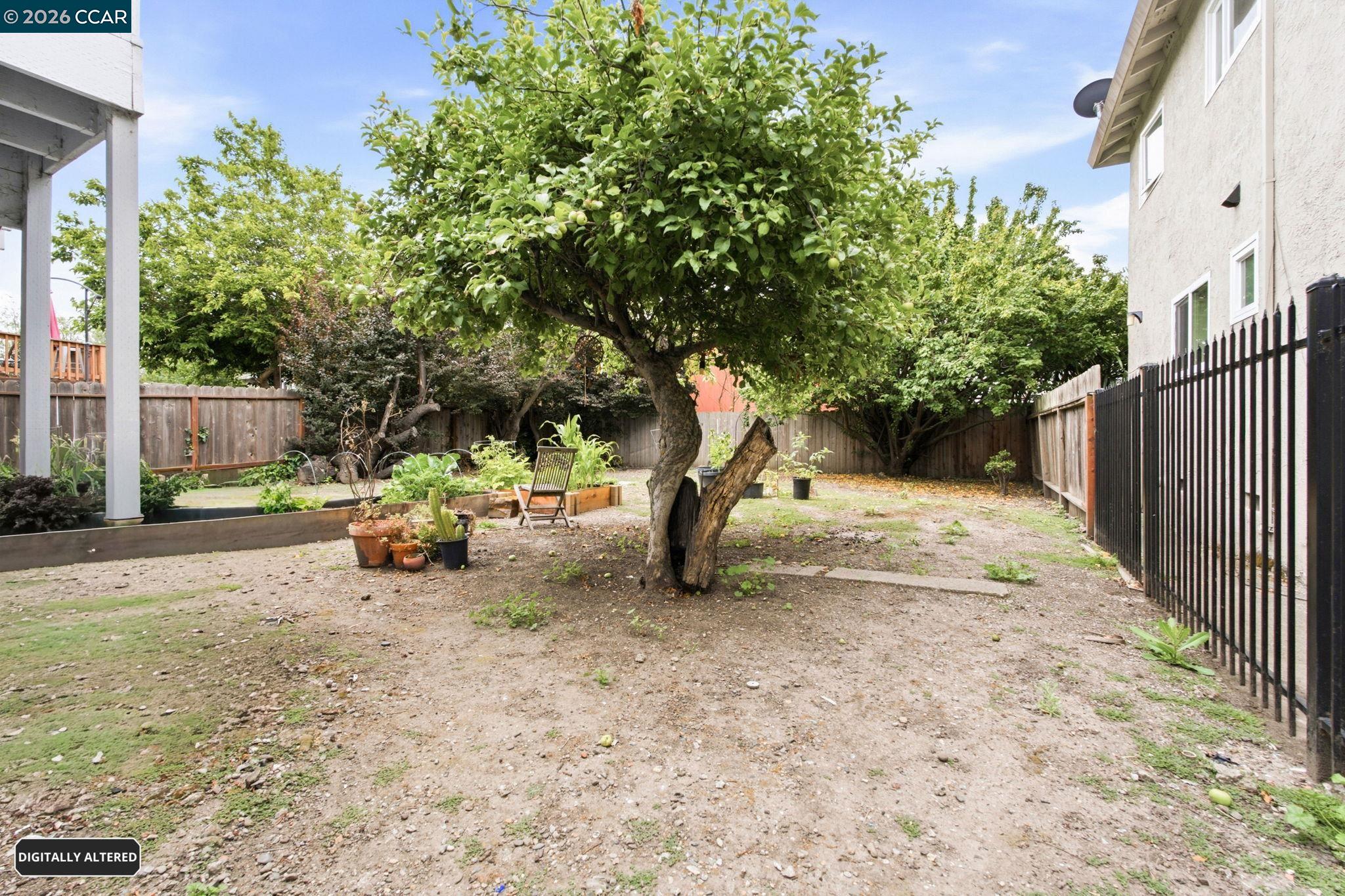 1238 Haskell St, Berkeley CA 94702 — photo 26