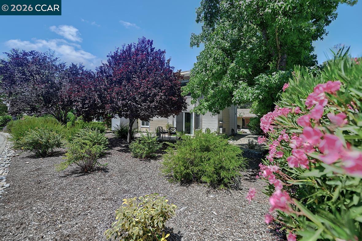 Photo #11: 41139242 Listing: Photo #11