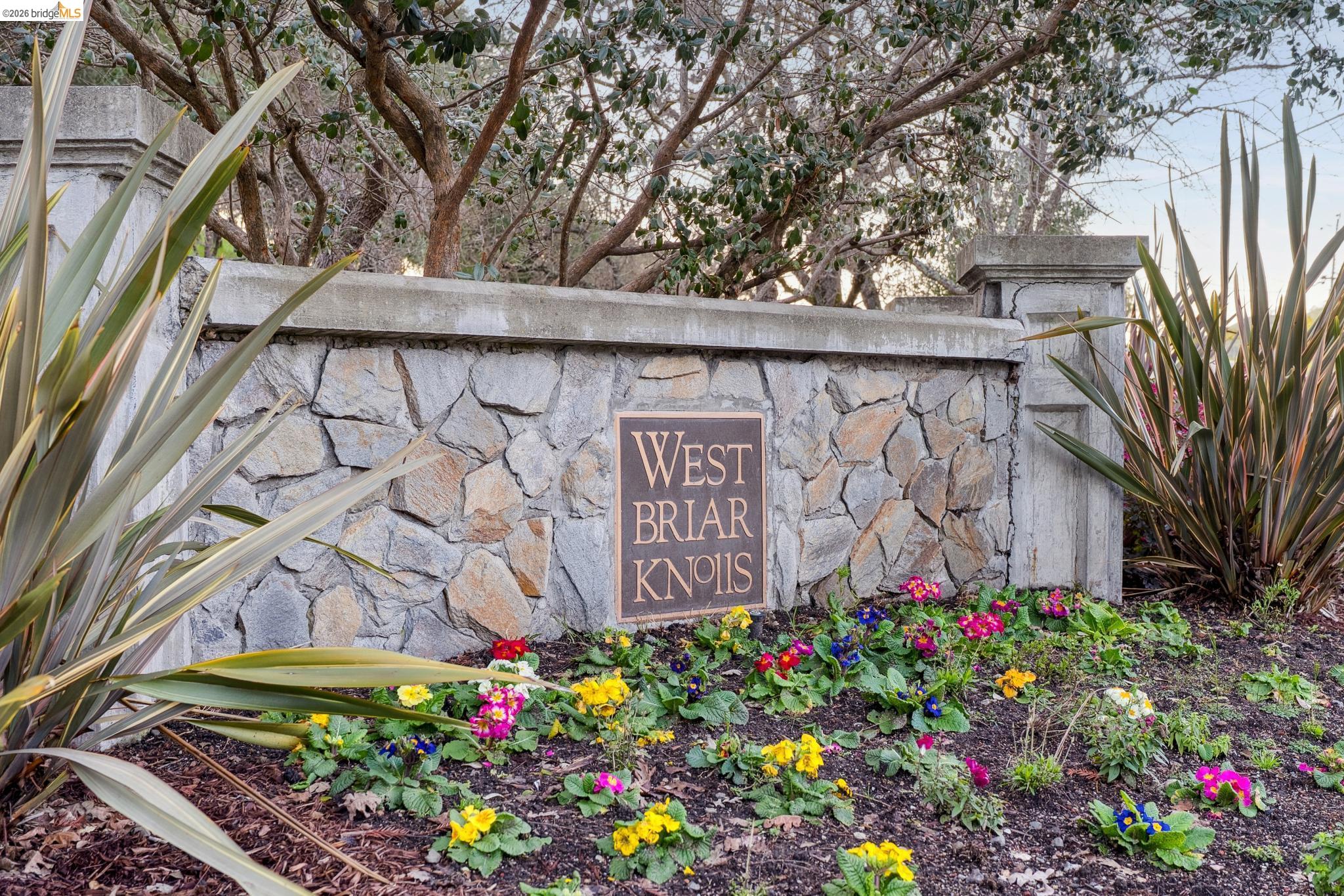 162 Briar Pl, Danville CA 94526 — photo 59