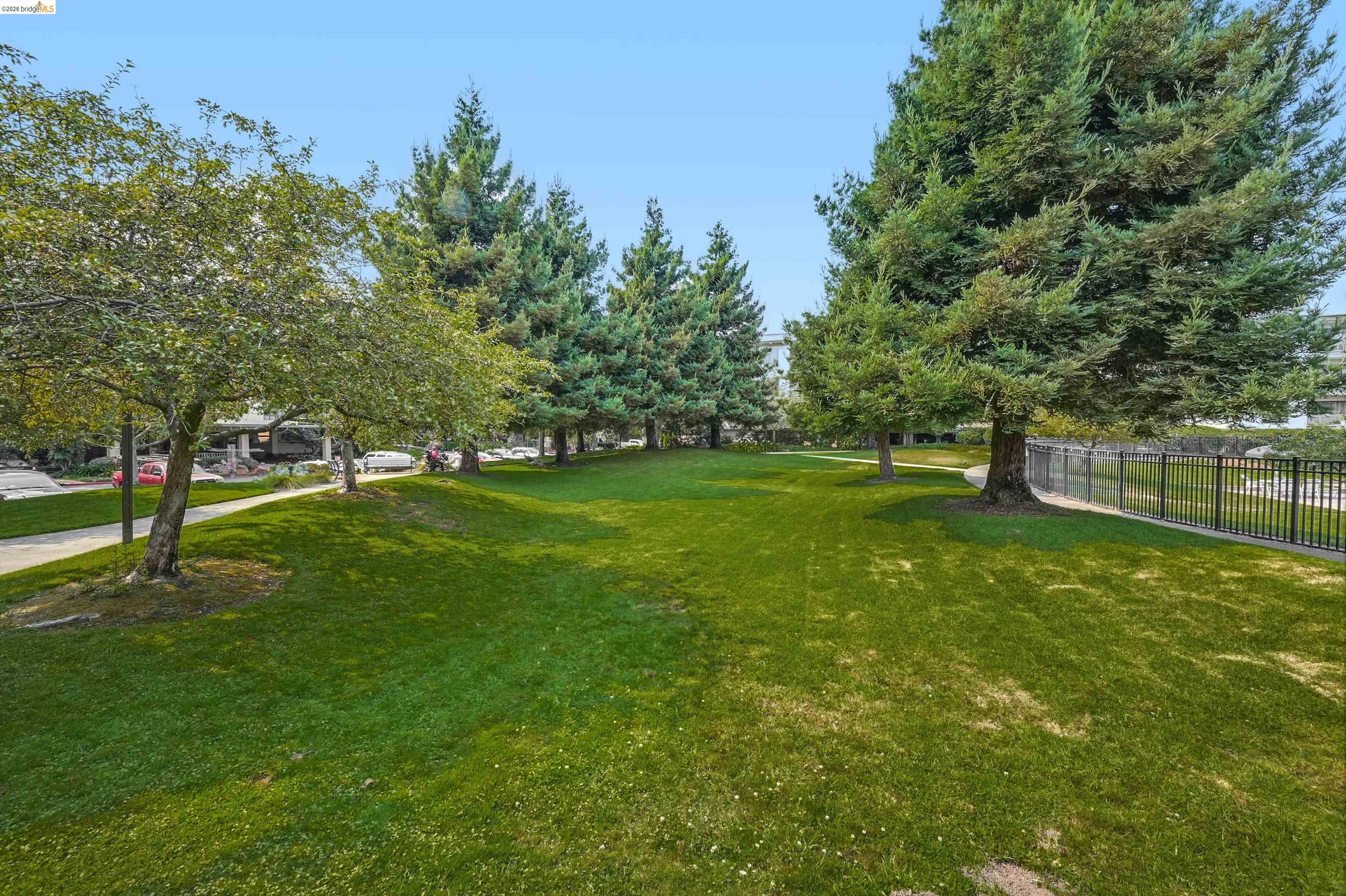 Photo #20: 41139366 Listing: Photo #20