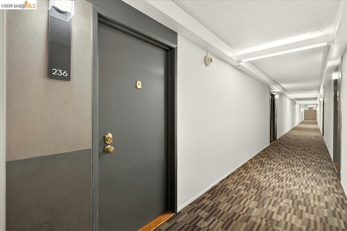 Photo #6: 41139414 Listing: Photo #6