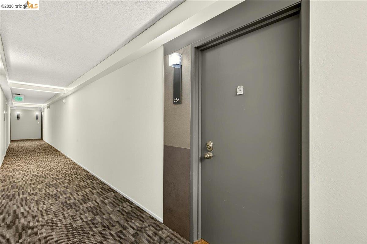 Photo #7: 41139414 Listing: Photo #7
