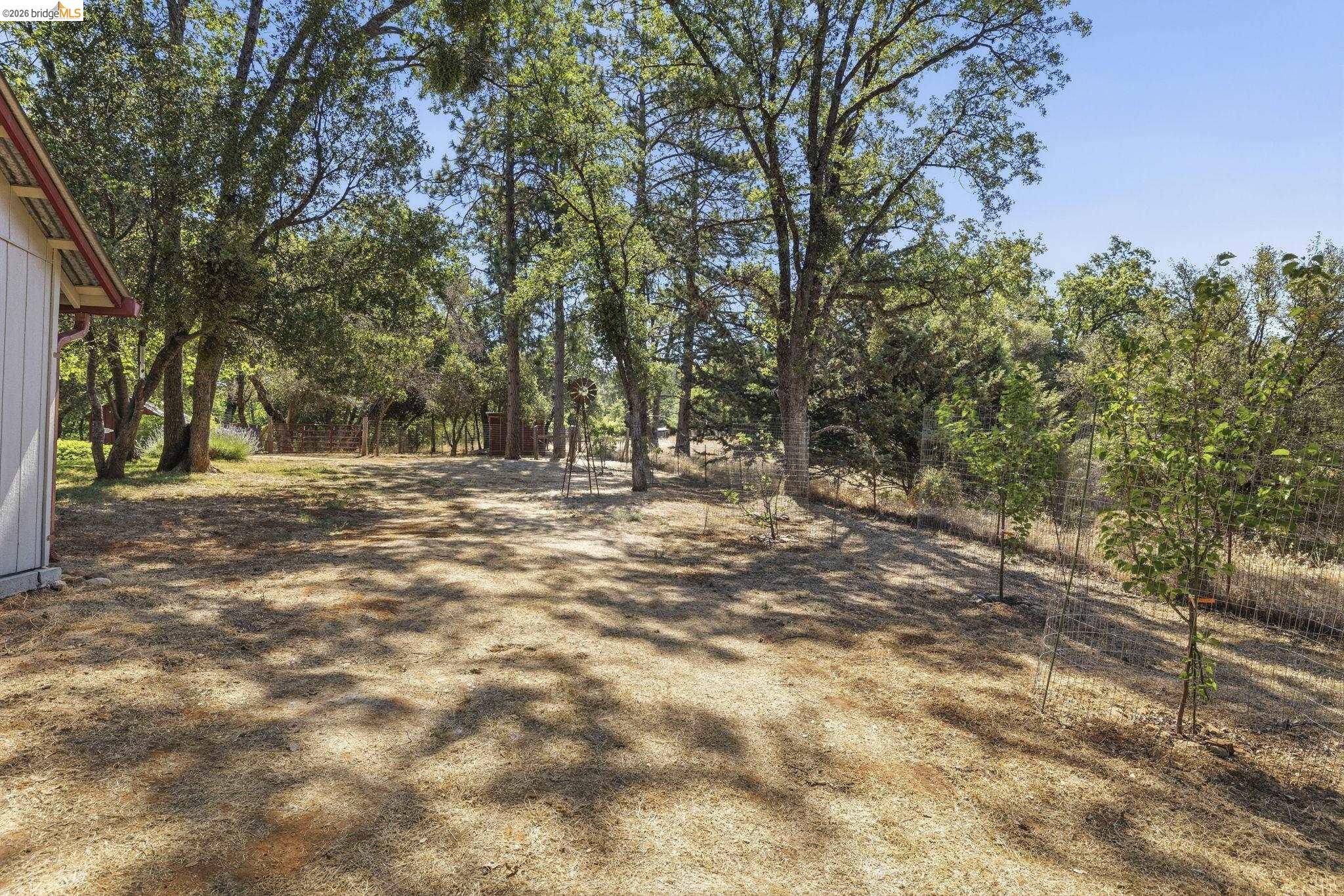 16883 Draper Mine Rd., Sonora CA 95370 — photo 18