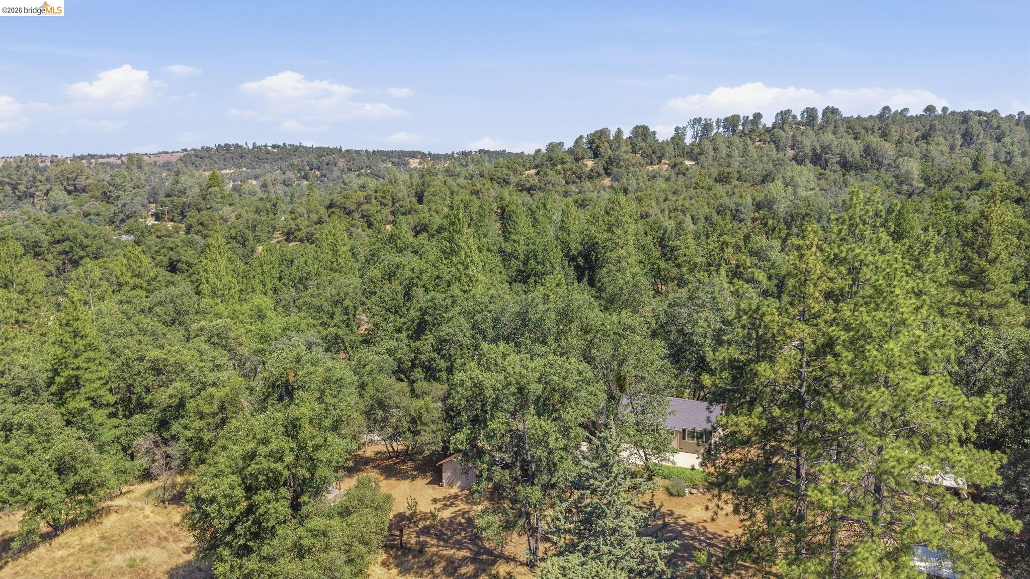 16883 Draper Mine Rd., Sonora CA 95370 — photo 28