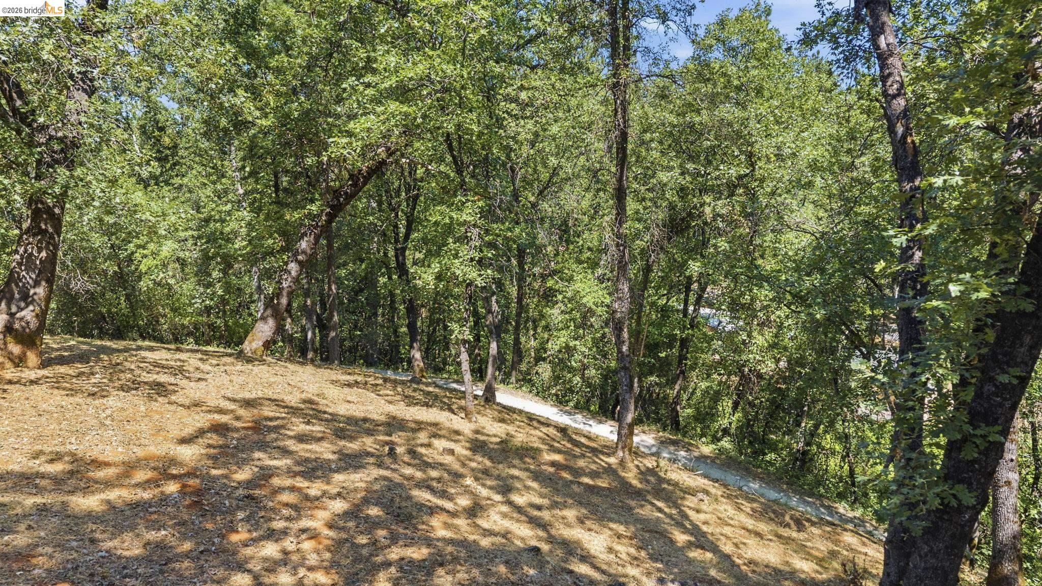 16883 Draper Mine Rd., Sonora CA 95370 — photo 63