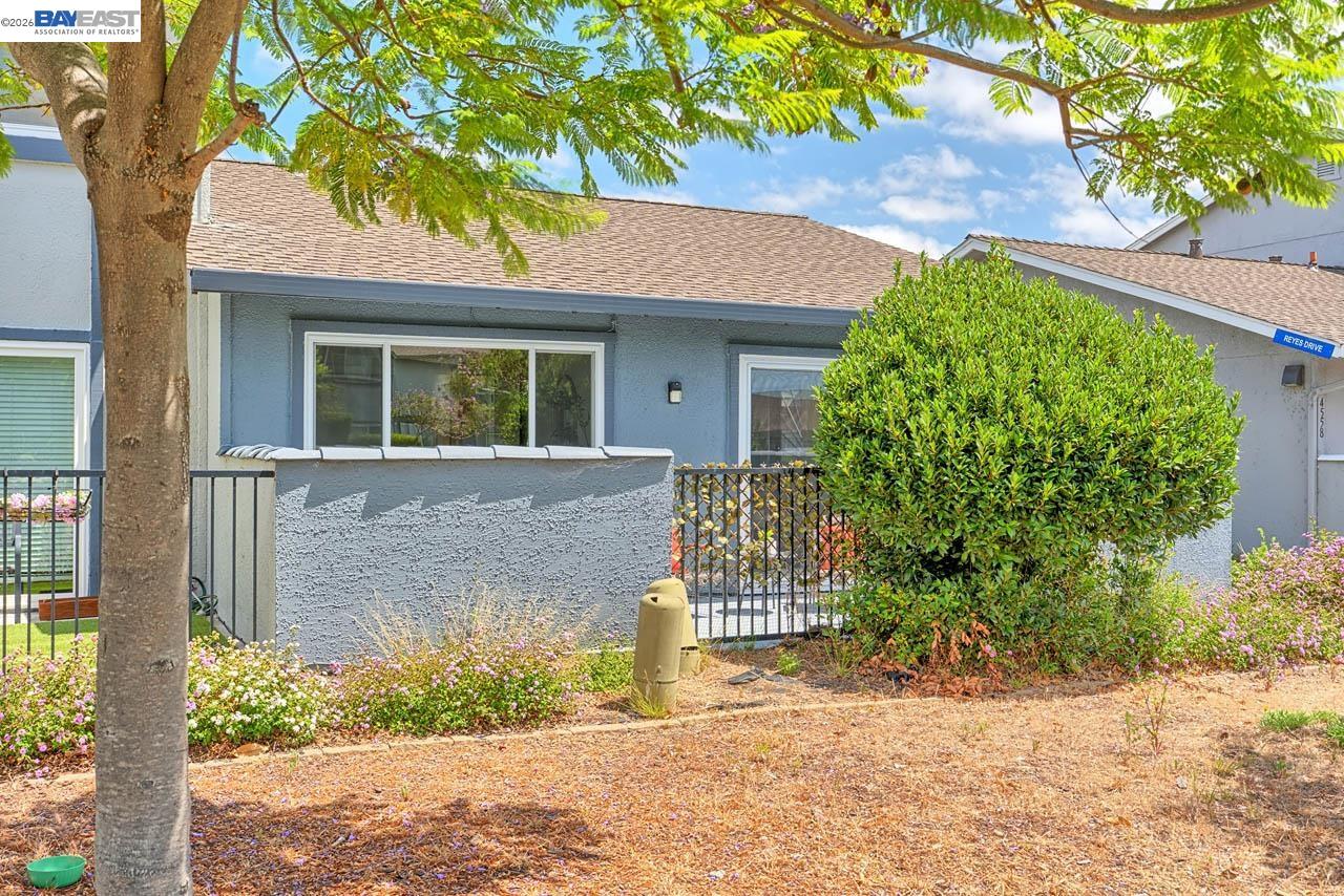 Photo #23: 41139433 Listing: Photo #23