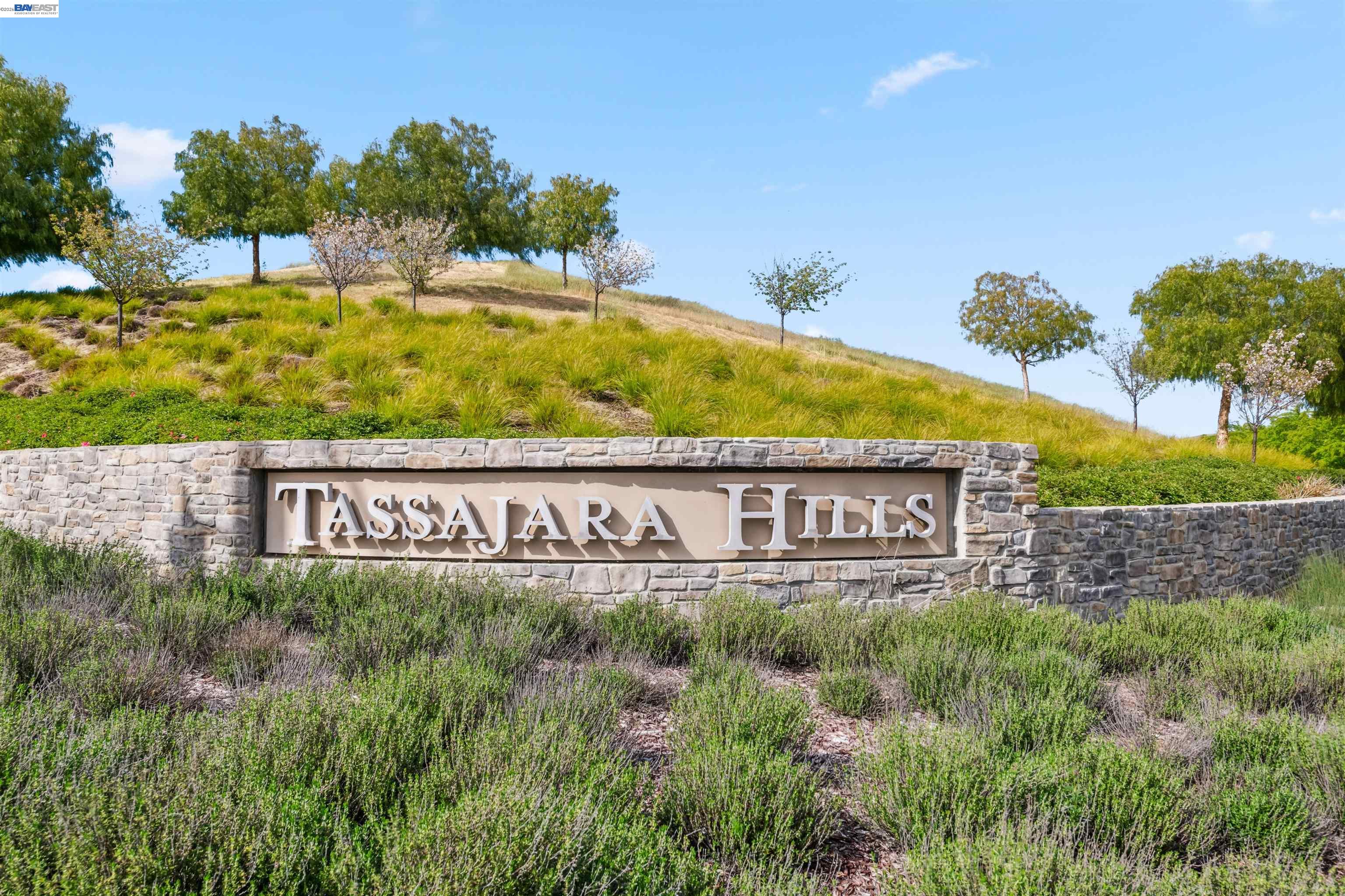2730 Mount Dana Dr, Dublin CA 94568 — photo 45