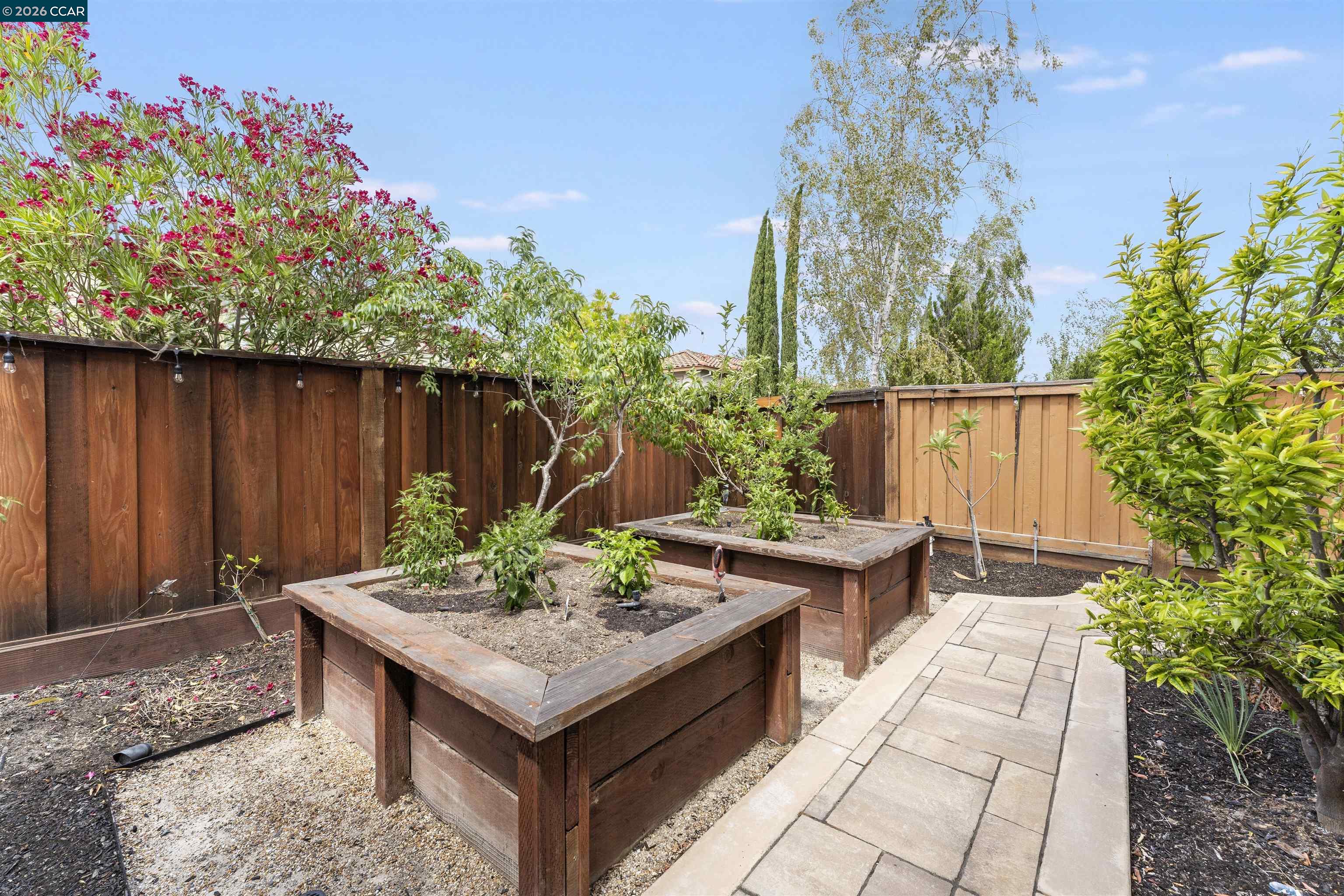 2151 Carmenere St, Danville CA 94506 — photo 63