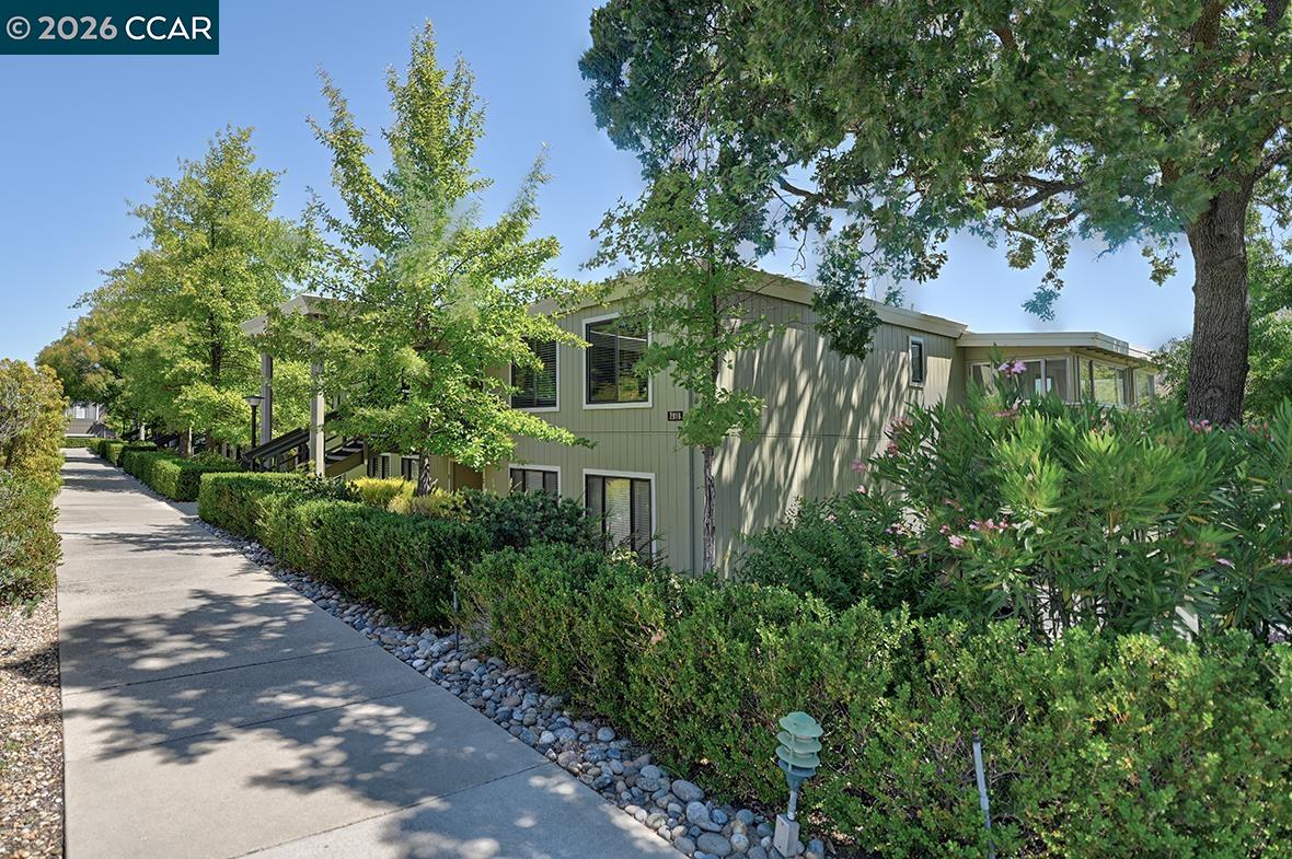 Photo #1: 41139575 Listing: Photo #1