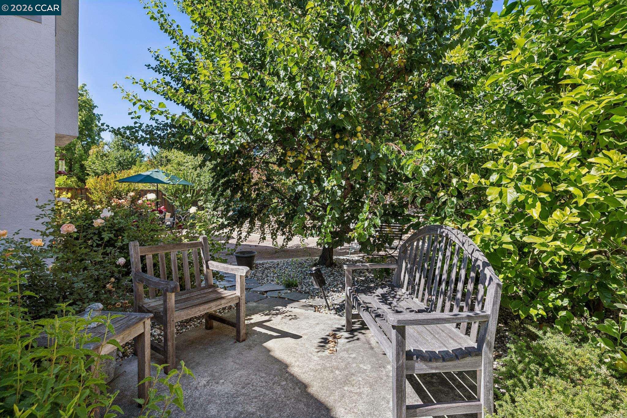 612 Clear Lake St, Danville CA 94506 — photo 28