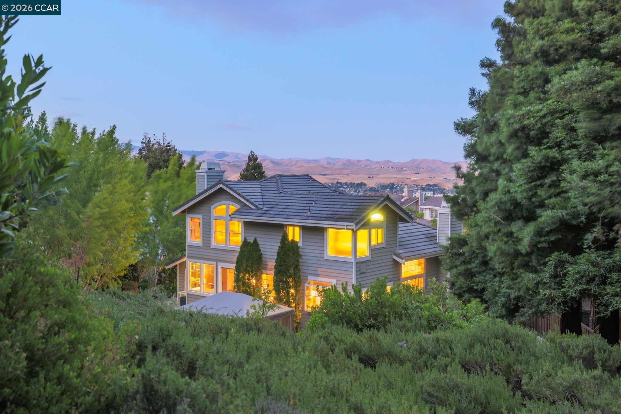11334 Village View Ct, Dublin CA 94568 — photo 51