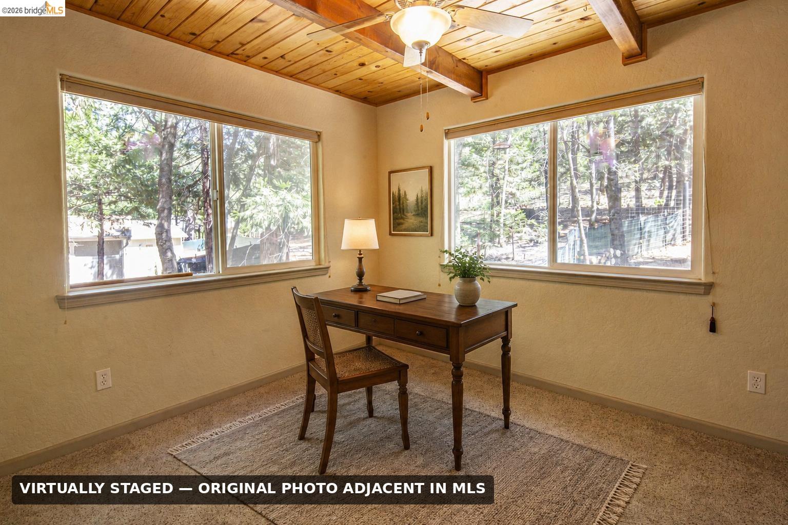 16643 Saddle Ct, Cedar Ridge, CA 95370 photo 19