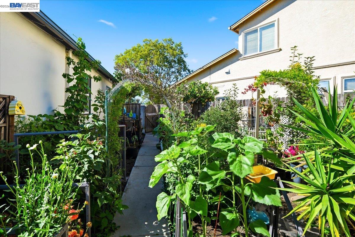 4231 Somerset Ave, Castro Valley CA 94546 — photo 27