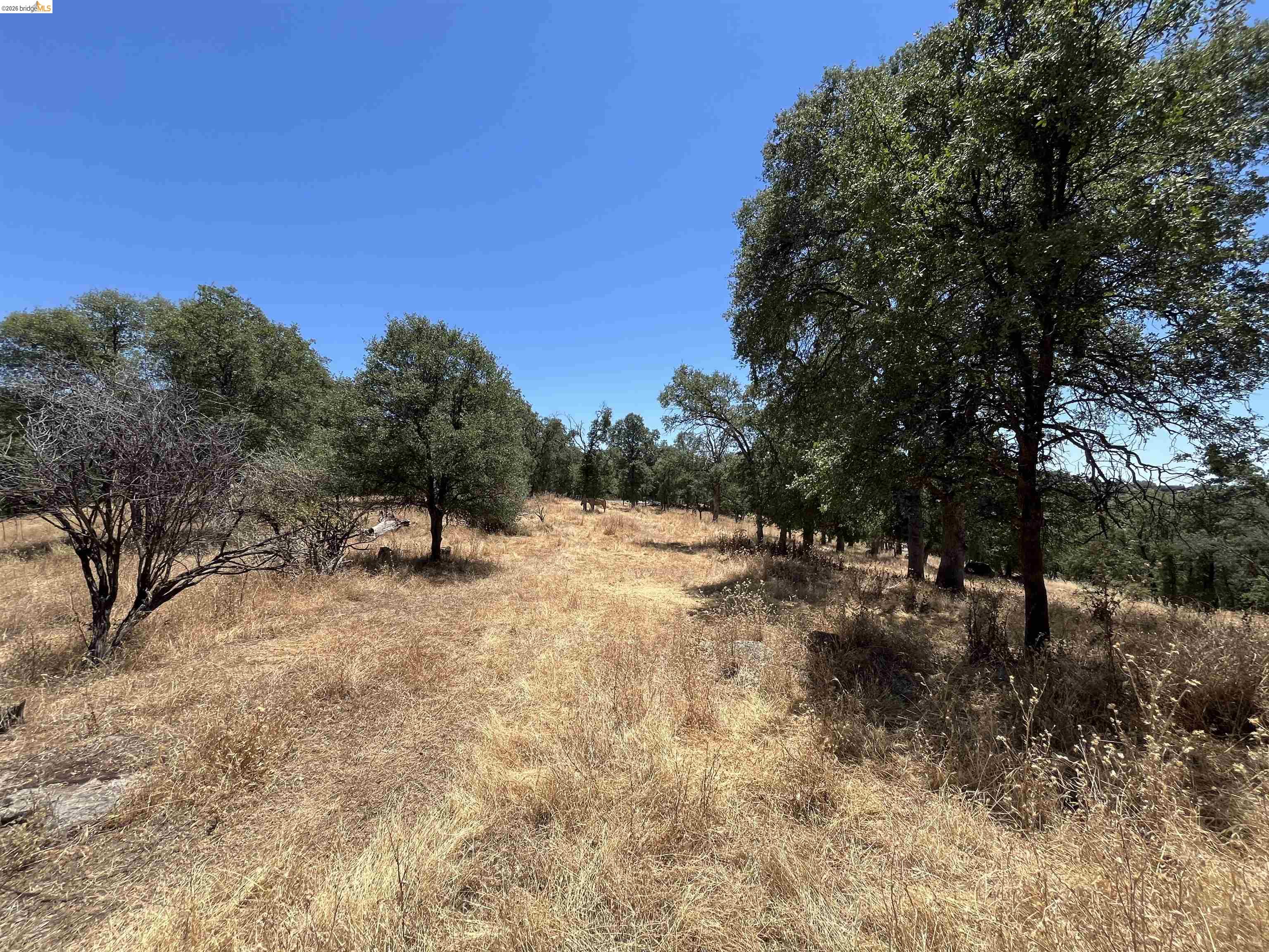 18195 Wards Ferry Rd, Sonora CA 95370 — photo 32
