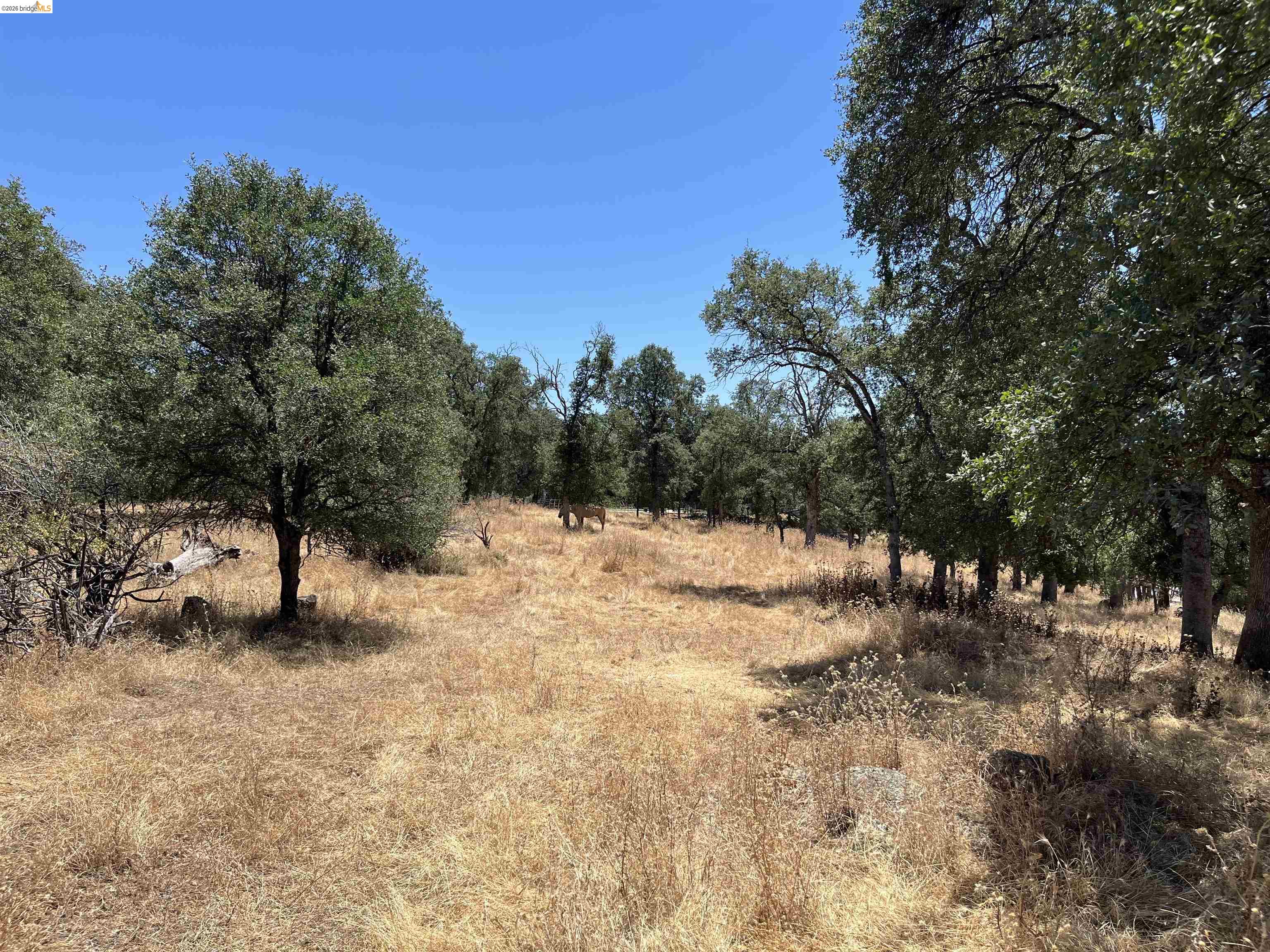 18195 Wards Ferry Rd, Sonora CA 95370 — photo 56