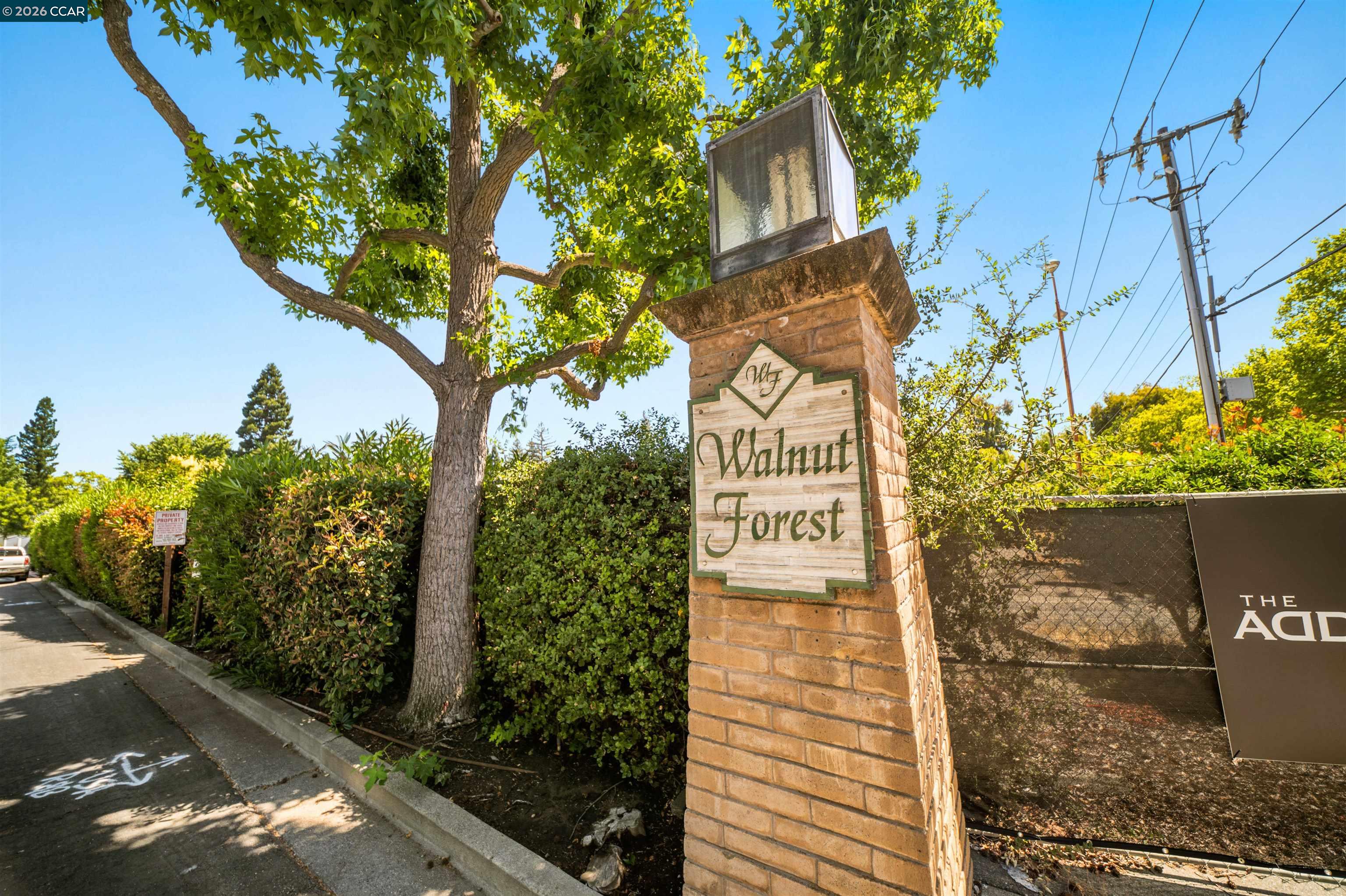 Photo #36: 41139814 Listing: Photo #36