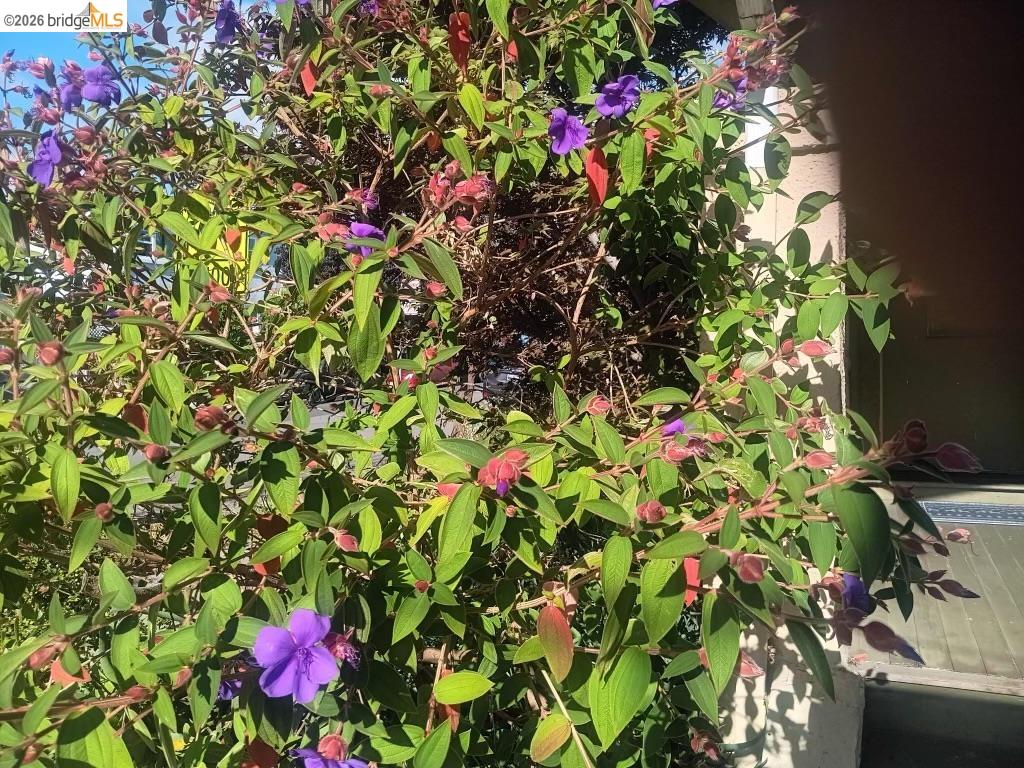 915 39Th St, Oakland CA 94608 — photo 7