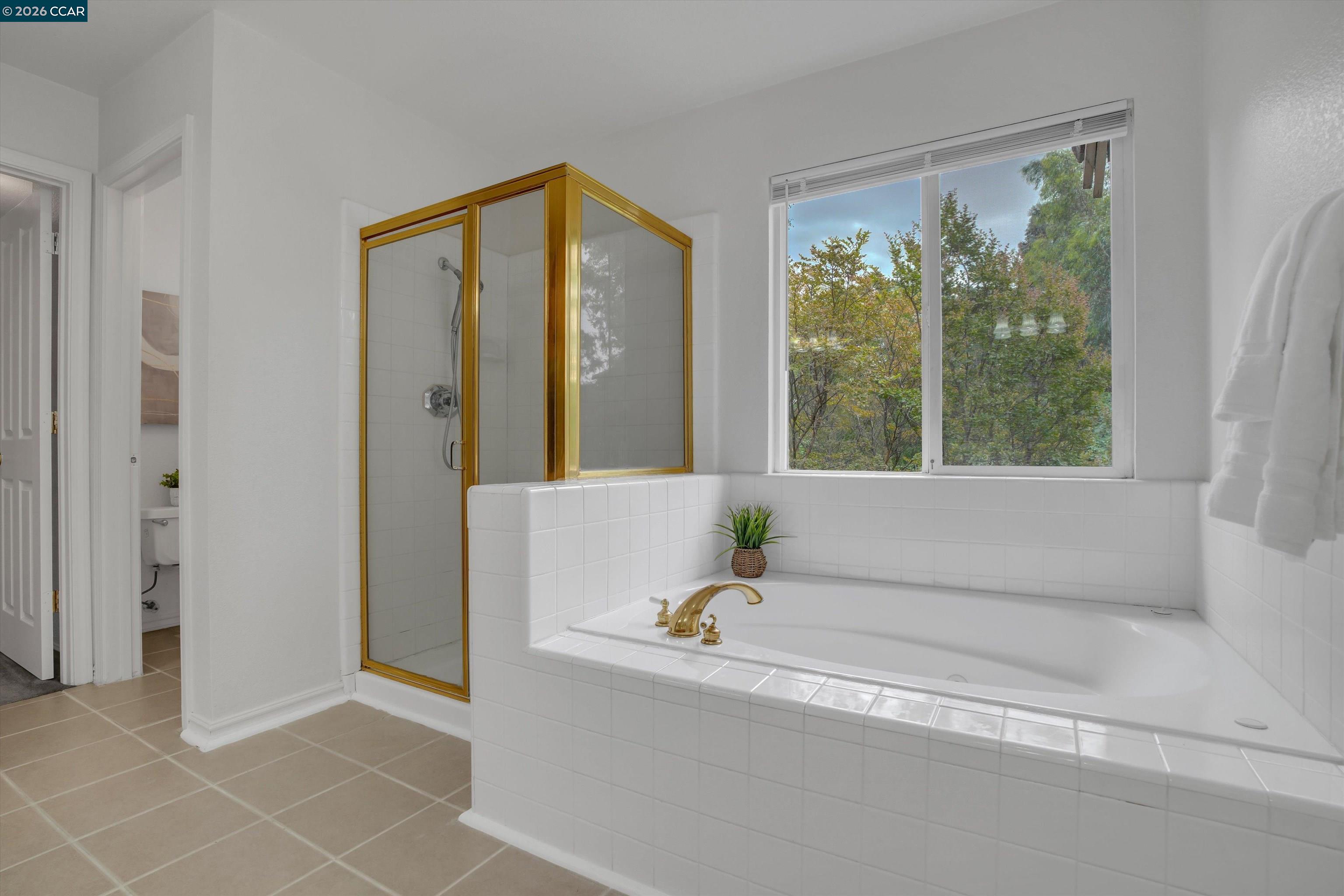 1932 Medicine Mountain Ct, Antioch CA 94531 — photo 23