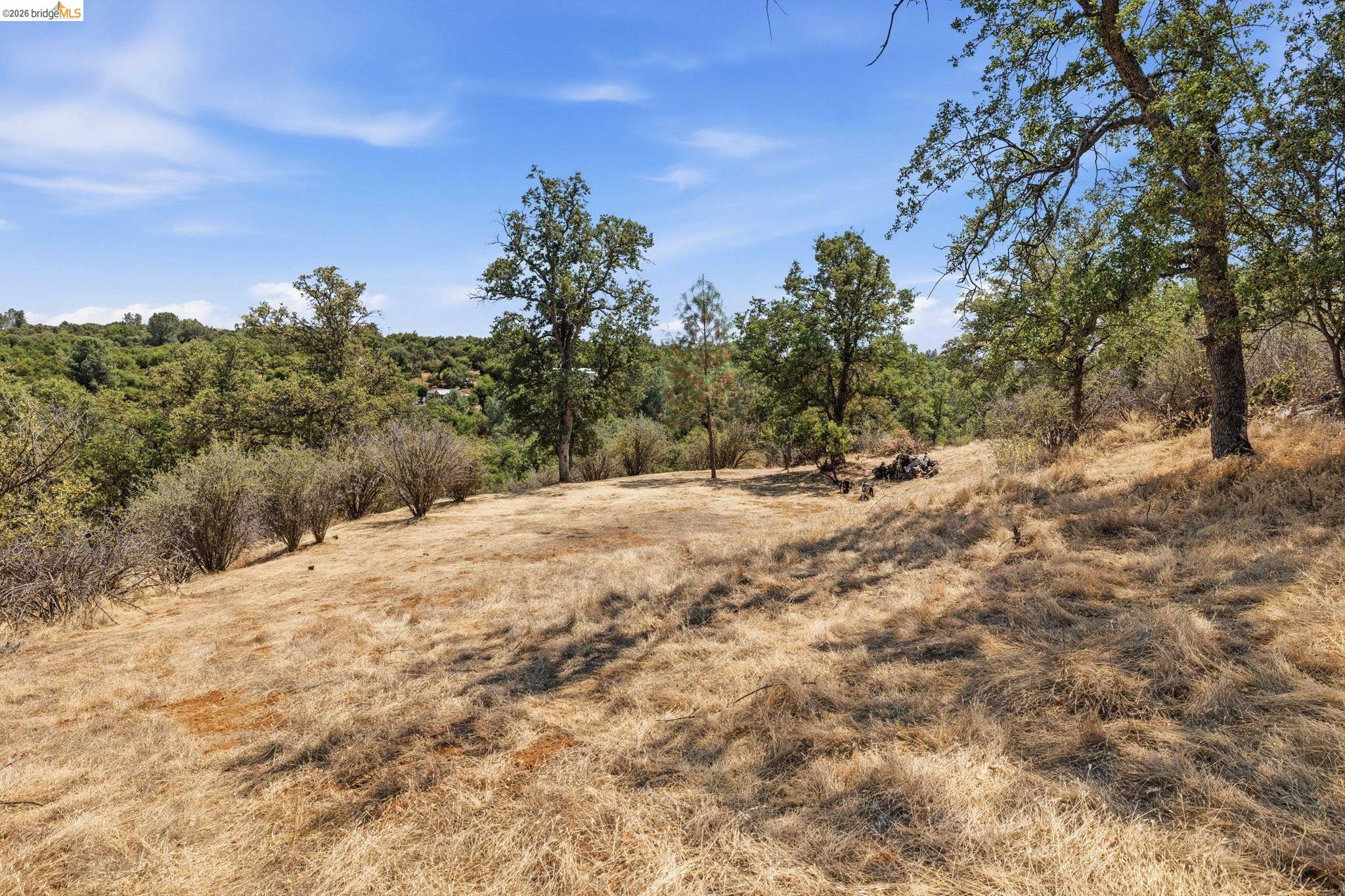 10449 Violetta Way, Coulterville CA 95311 — photo 5