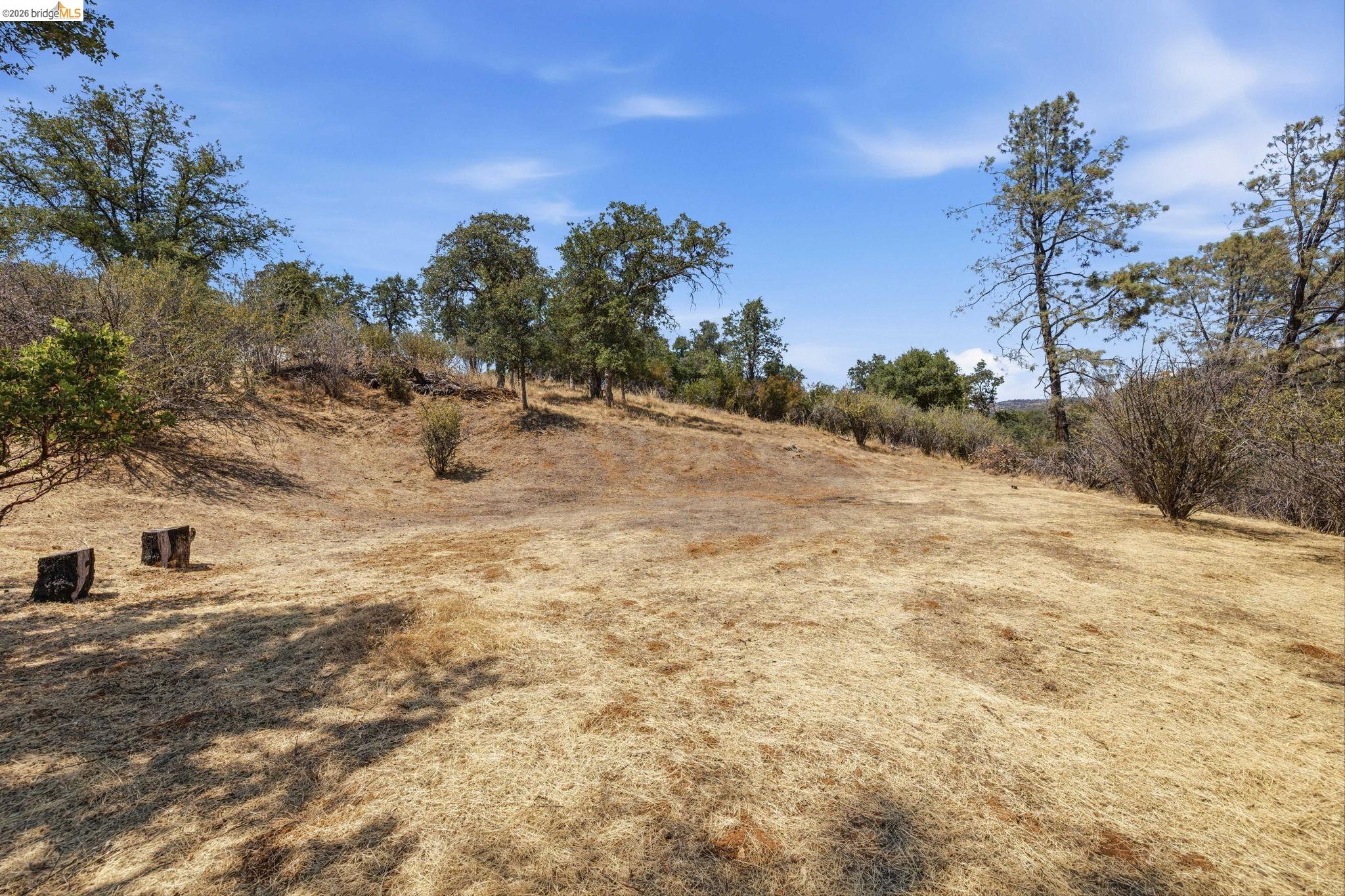 10449 Violetta Way, Coulterville CA 95311 — photo 6